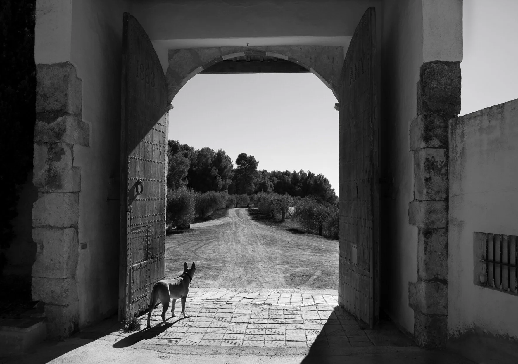 Can Rafols dels Caus - Penedès, Katalonien, Spanien