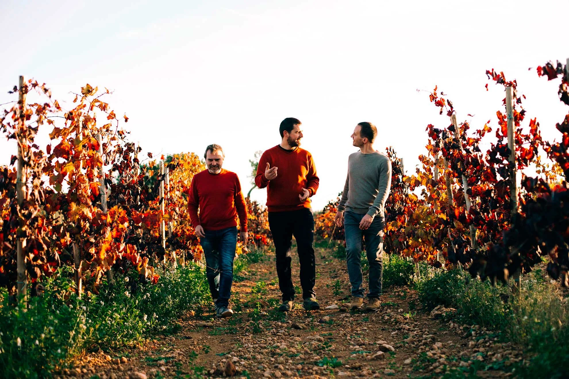 L'Apical - Penedès, Katalonien, Spanien