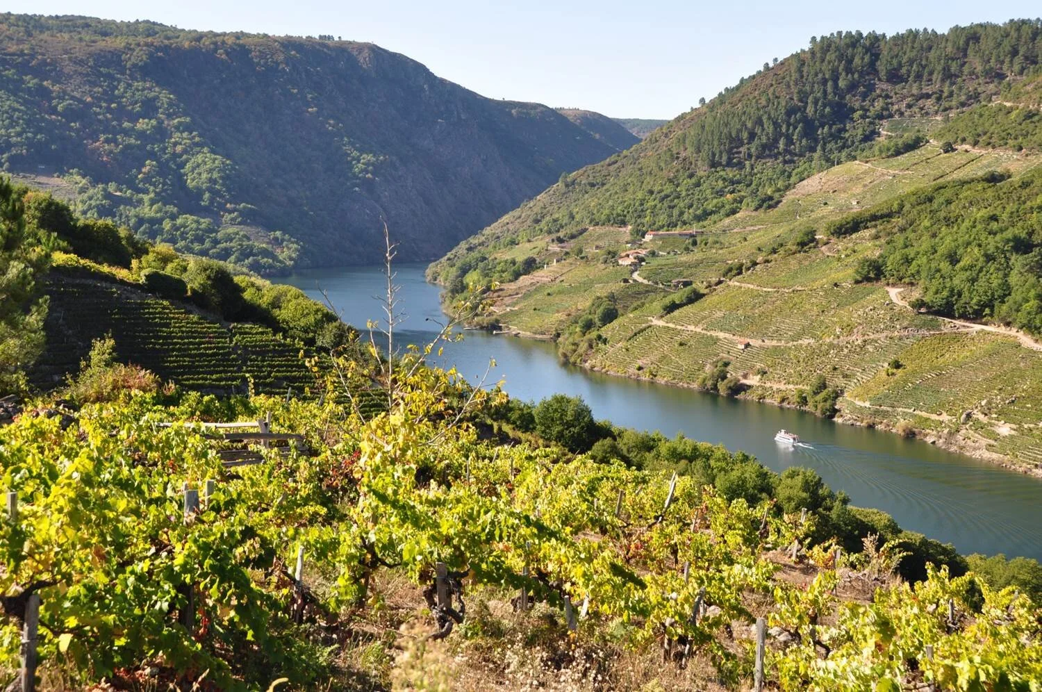 Ronsel do Sil - Ribeira Sacra, Galicien, Spanien