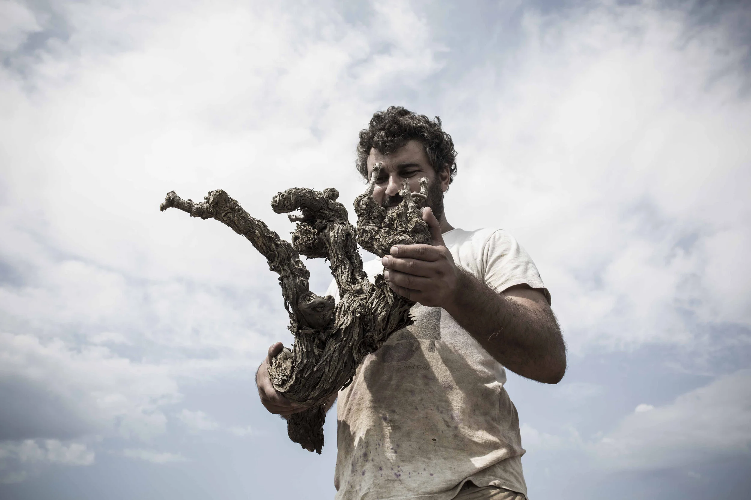 Can Verdura - Mallorca, Spanien