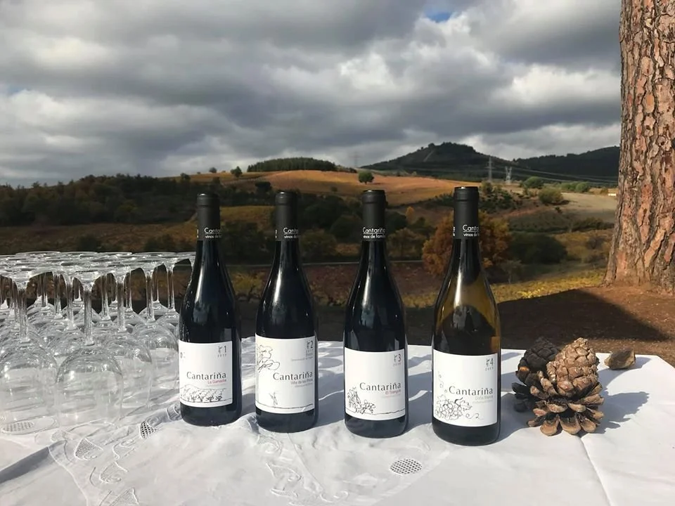 Cantariña Vinos de Familia - Bierzo, Kastilien-León, Spanien