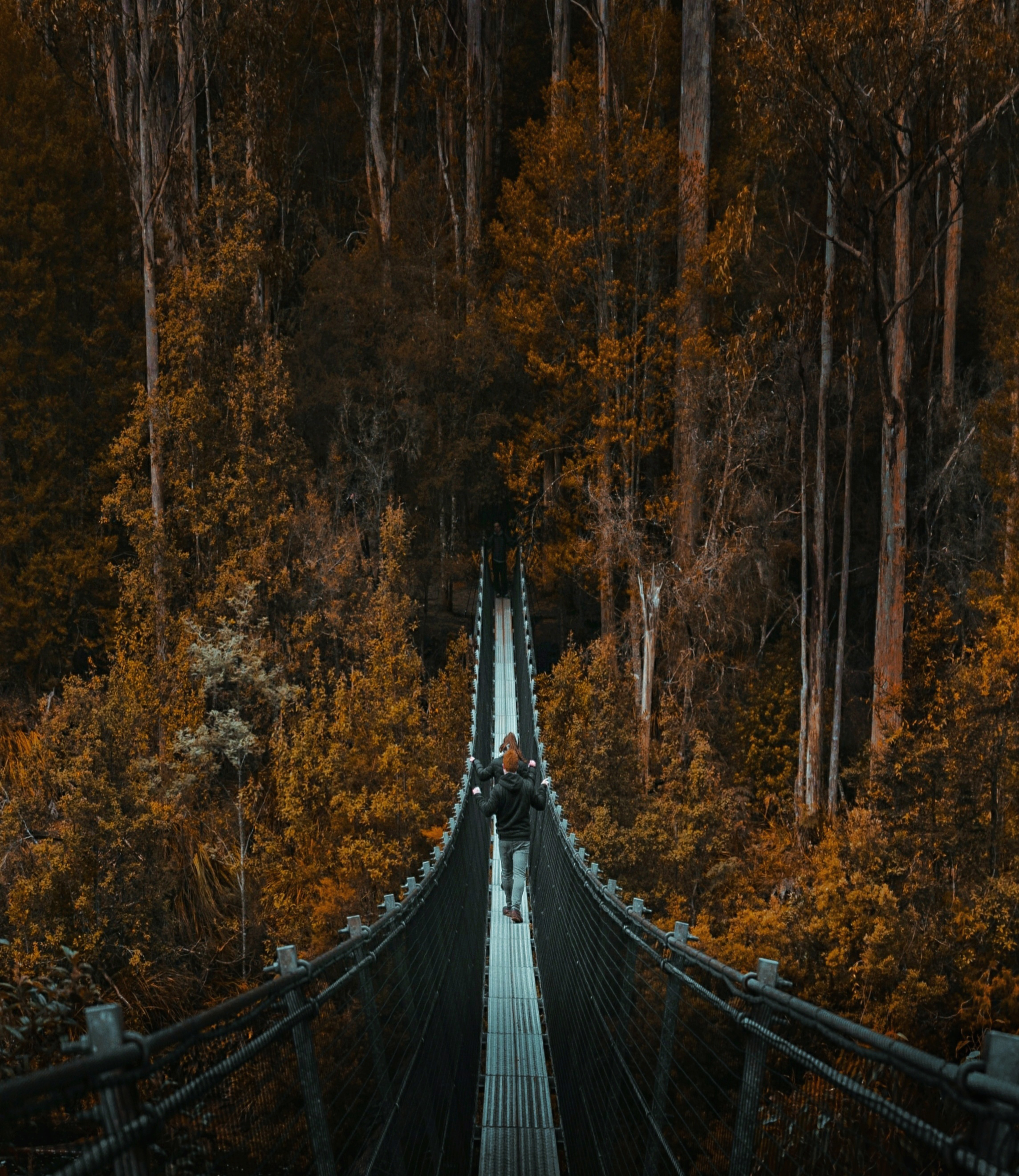Tahune Suspension Bridge, Tasmania