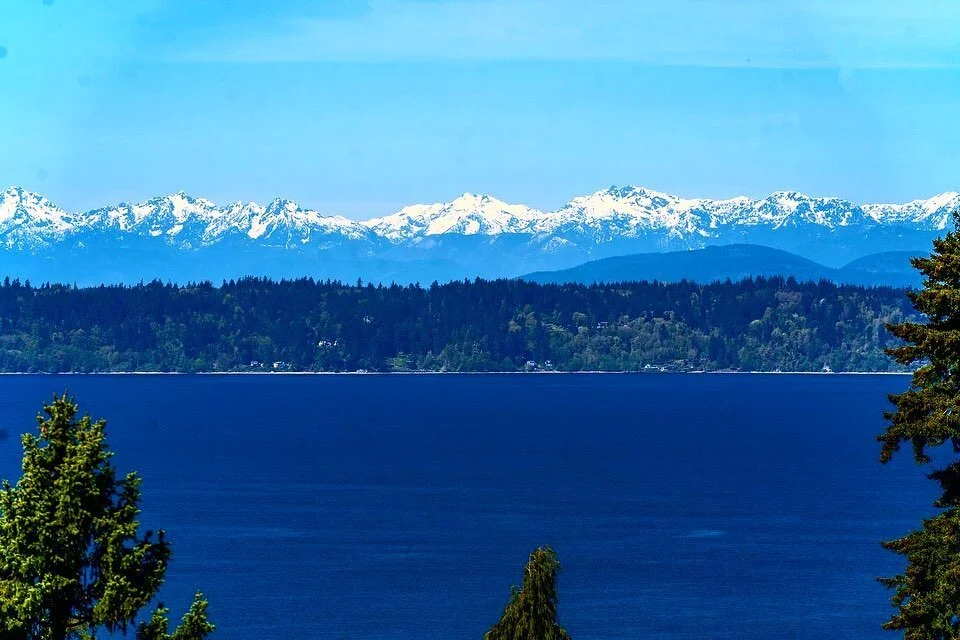 Spring colors and striking views of the Olympic Mountains and sound&hellip; WOW!!! 🤩🌹🌸🌿🏔️ 

Listing by @denisechristoffersonassc&hellip; amazing Denise!!!

#kingcountyrealestate #seattlerealestate #midcentury #poolparty #luxuryrealestate
#washin