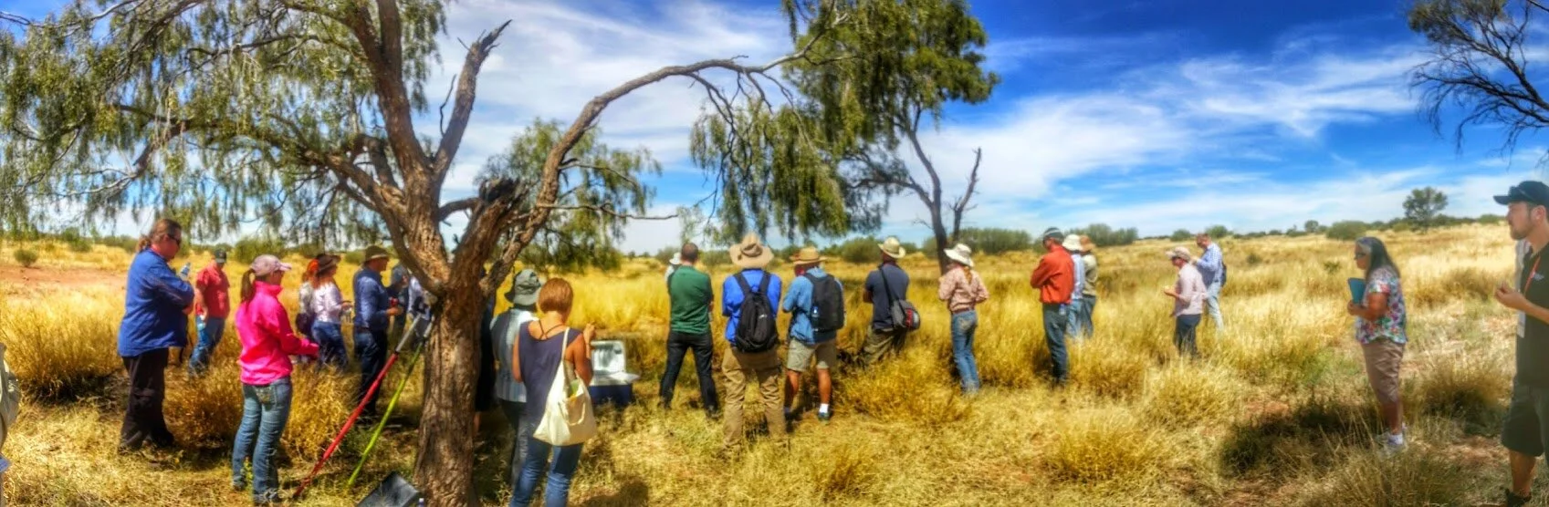 PANO_20150412_130147~2_Peter Scarth_fieldworkgroup.jpg
