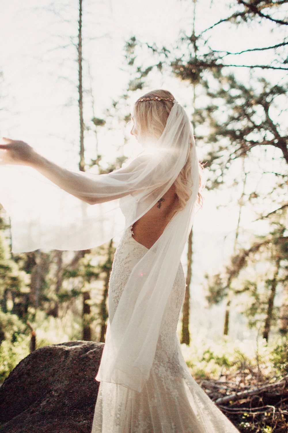 Paige" silk chiffon, fingertip length veil  Daci Gowns