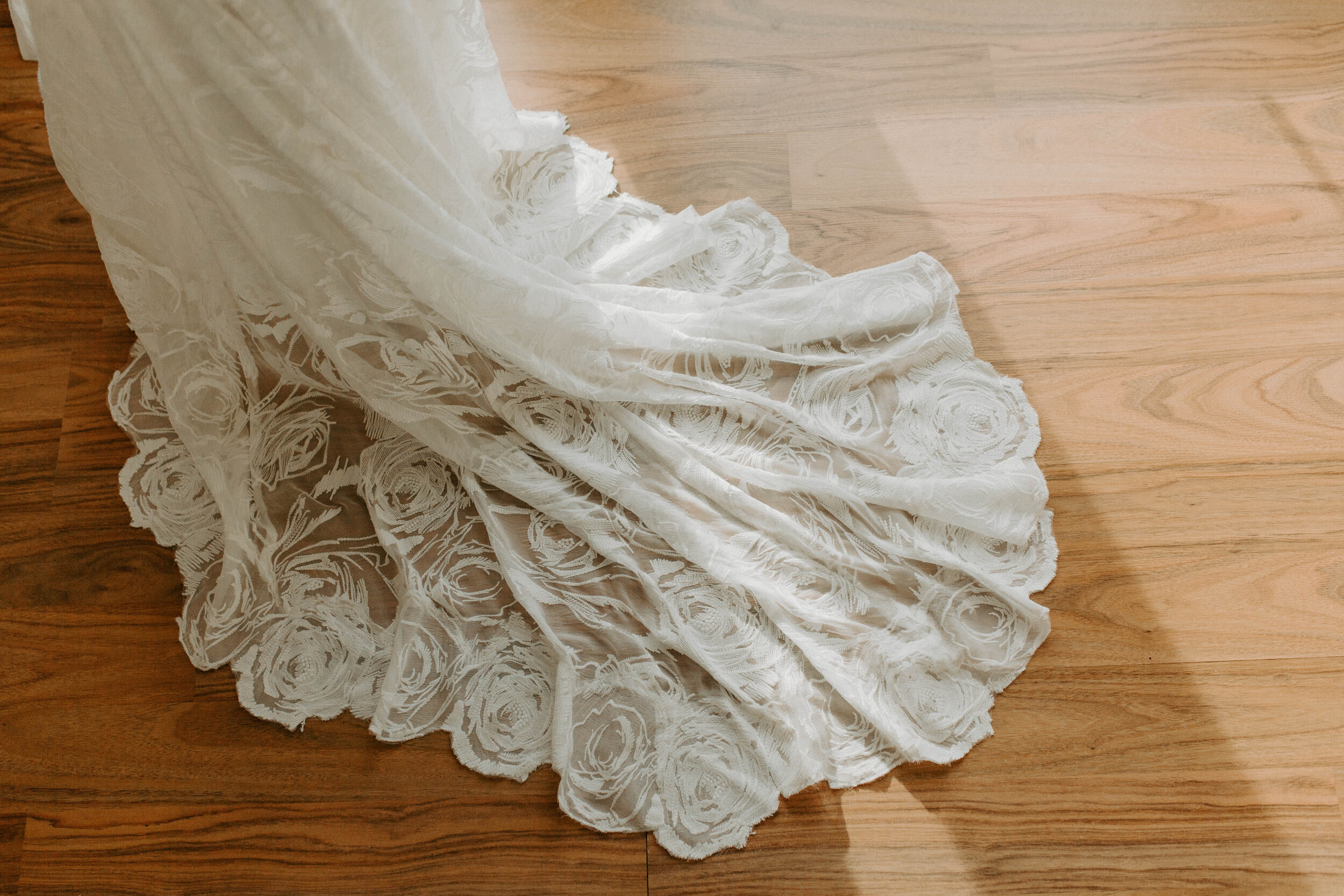 lacey6.JPG