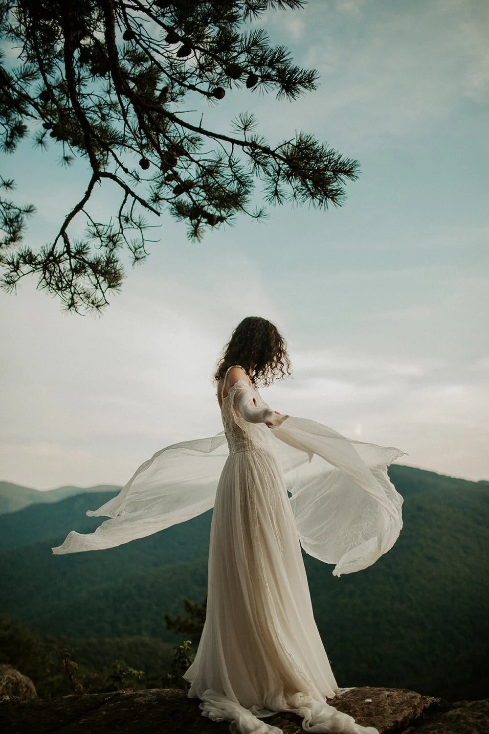 Mila" silk chiffon off the shoulder sleeves with lace detail  Daci Gowns