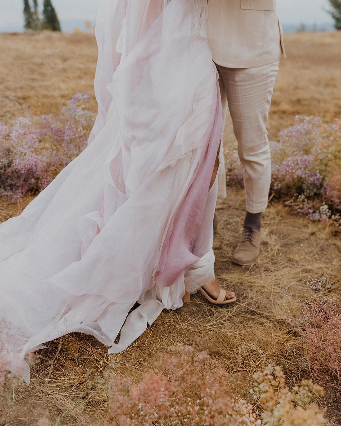Swan Wedding Dress - Fairytale, Fit and Flare, open back and intricate  ruching over lace  Daci Gowns