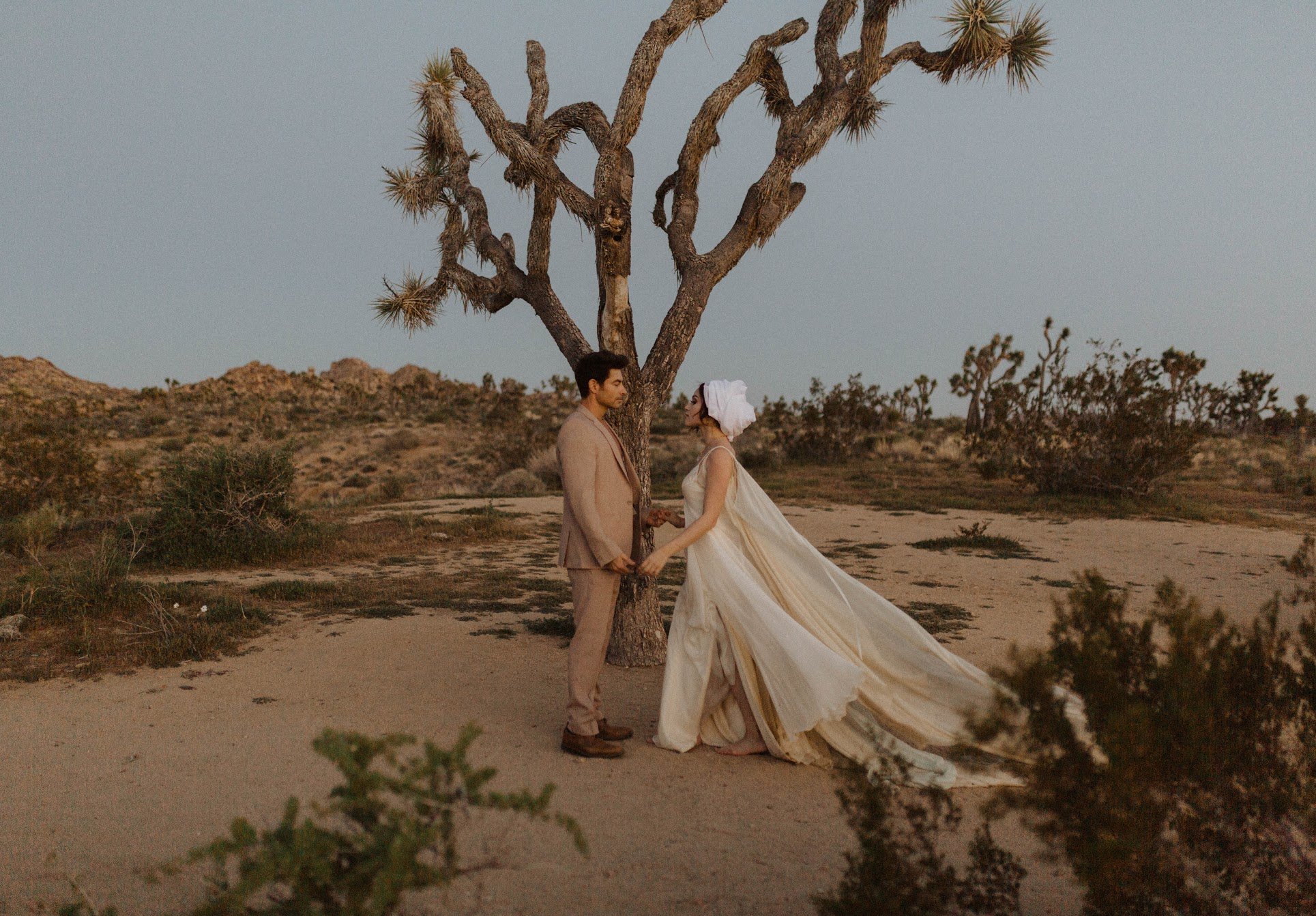   Leah wedding dress . Elopement in Joshua Tree, California. Photo by Alex Mari Photography.  