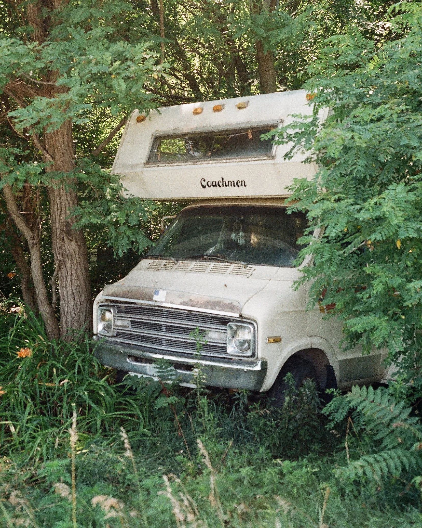 47040023.jpg