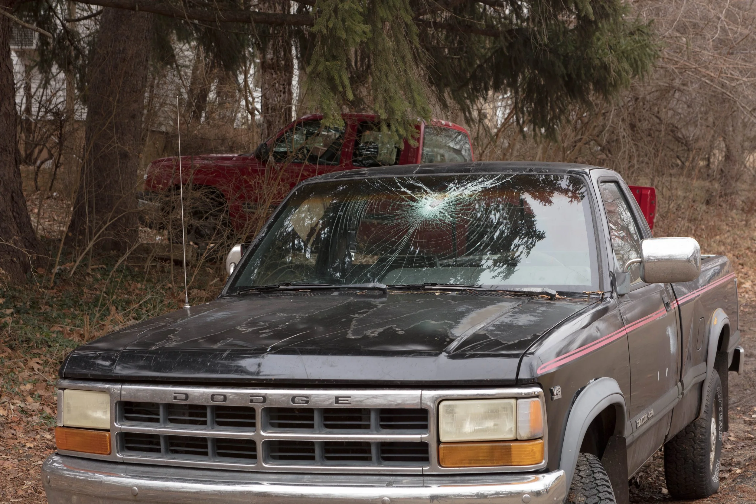 Truck Windshield
