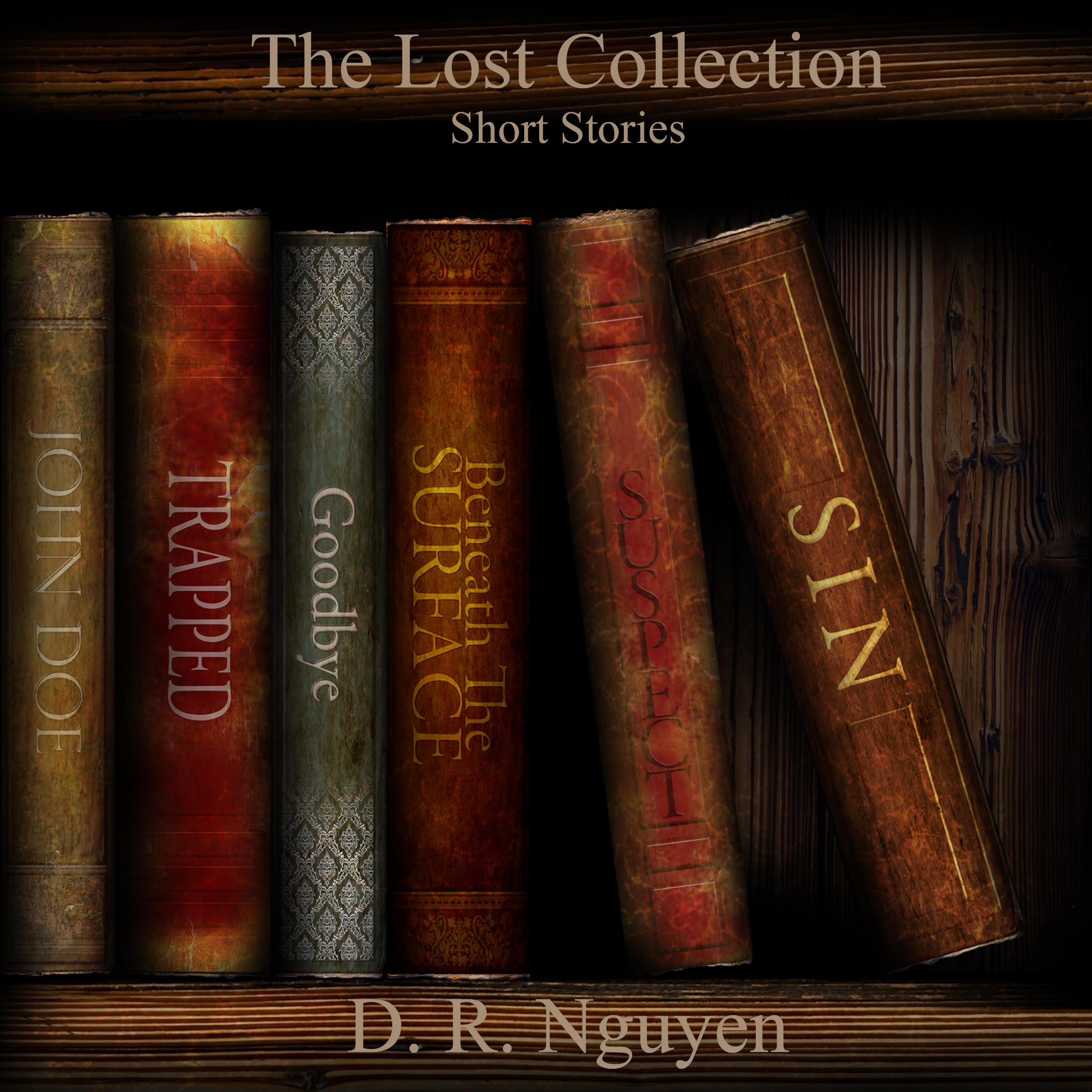 Audiobook Cover_DR Nguyen_The Lost Collection.jpg
