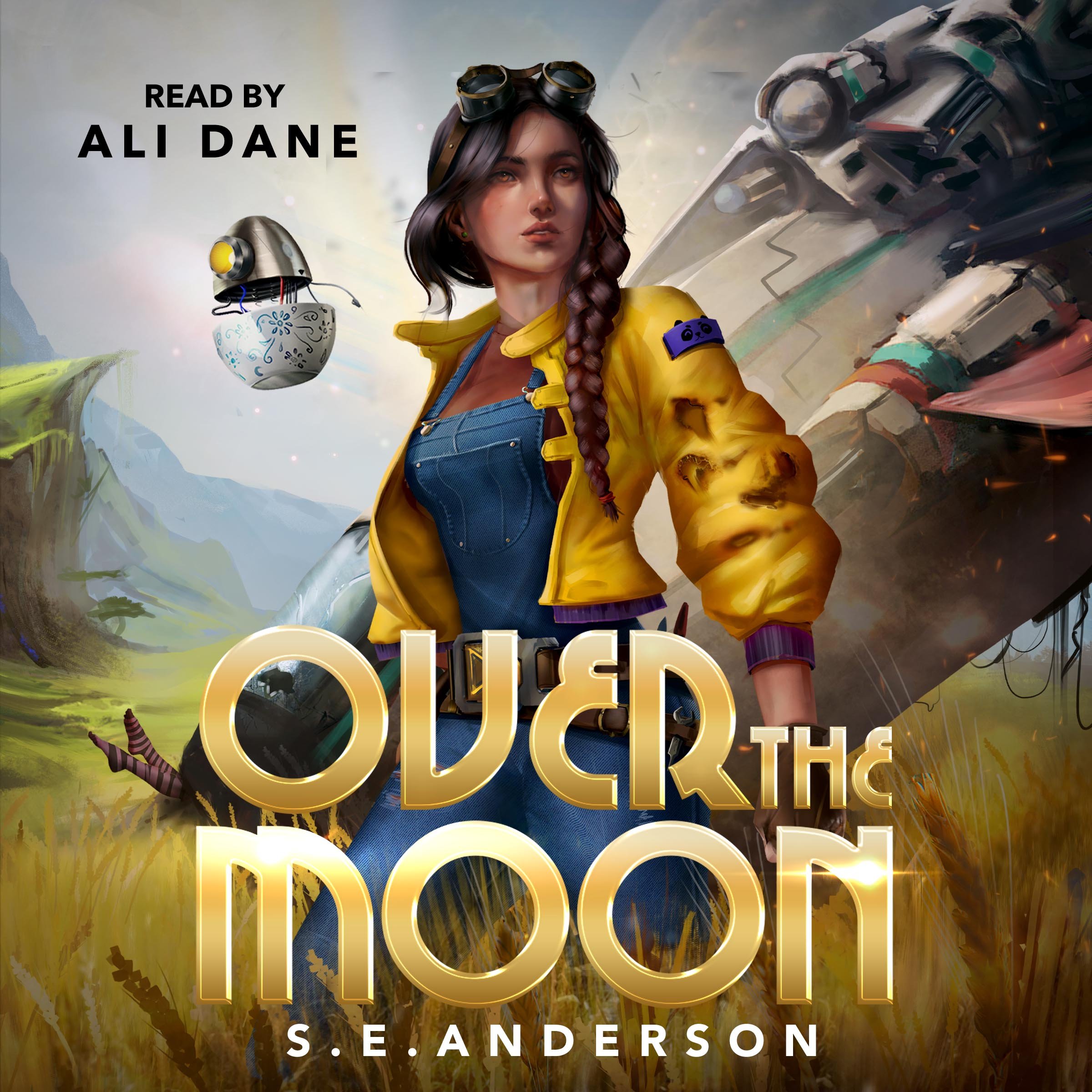 SE Anderson_Over the Moon.jpg