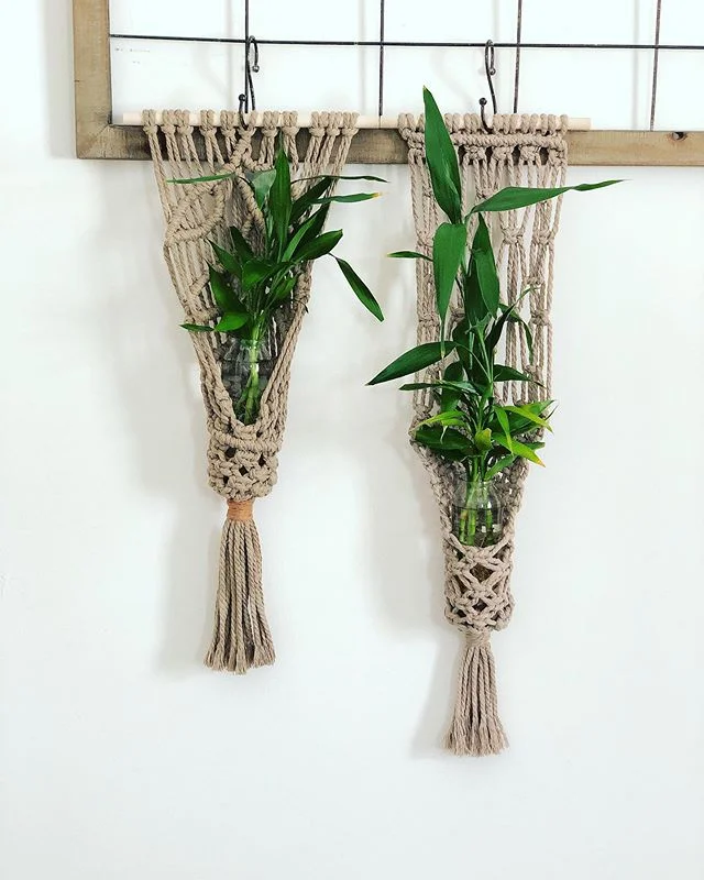 Well, I found a way to hang my plants and play with #macrame too! 🤗

#hangingplanters #hangingvase #propagationstation #luckybamboo #fiberart