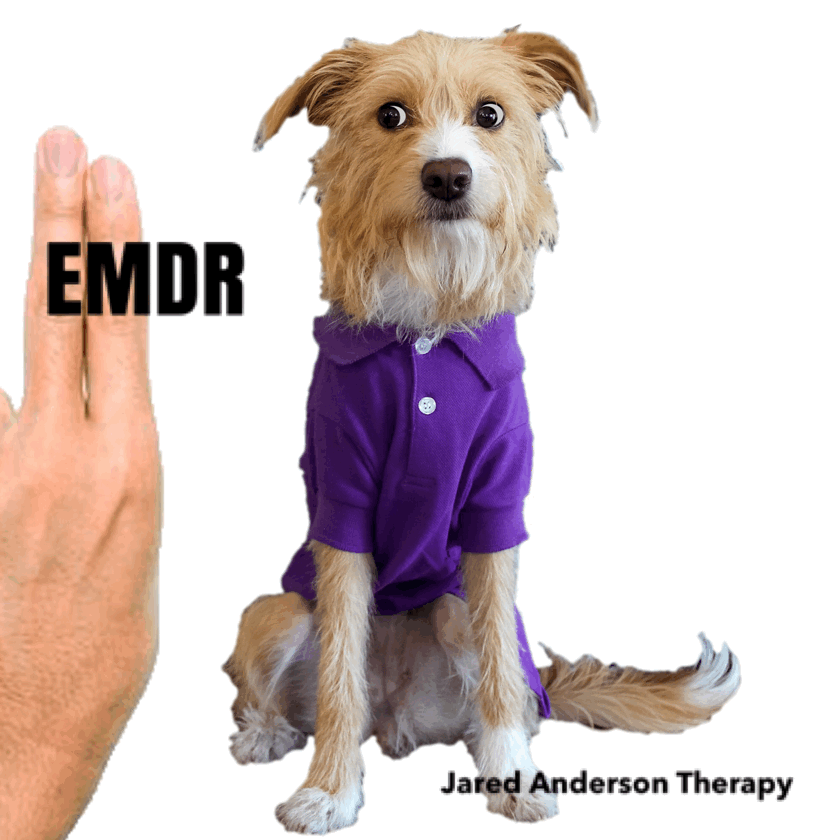 What is EMDR Therapy?