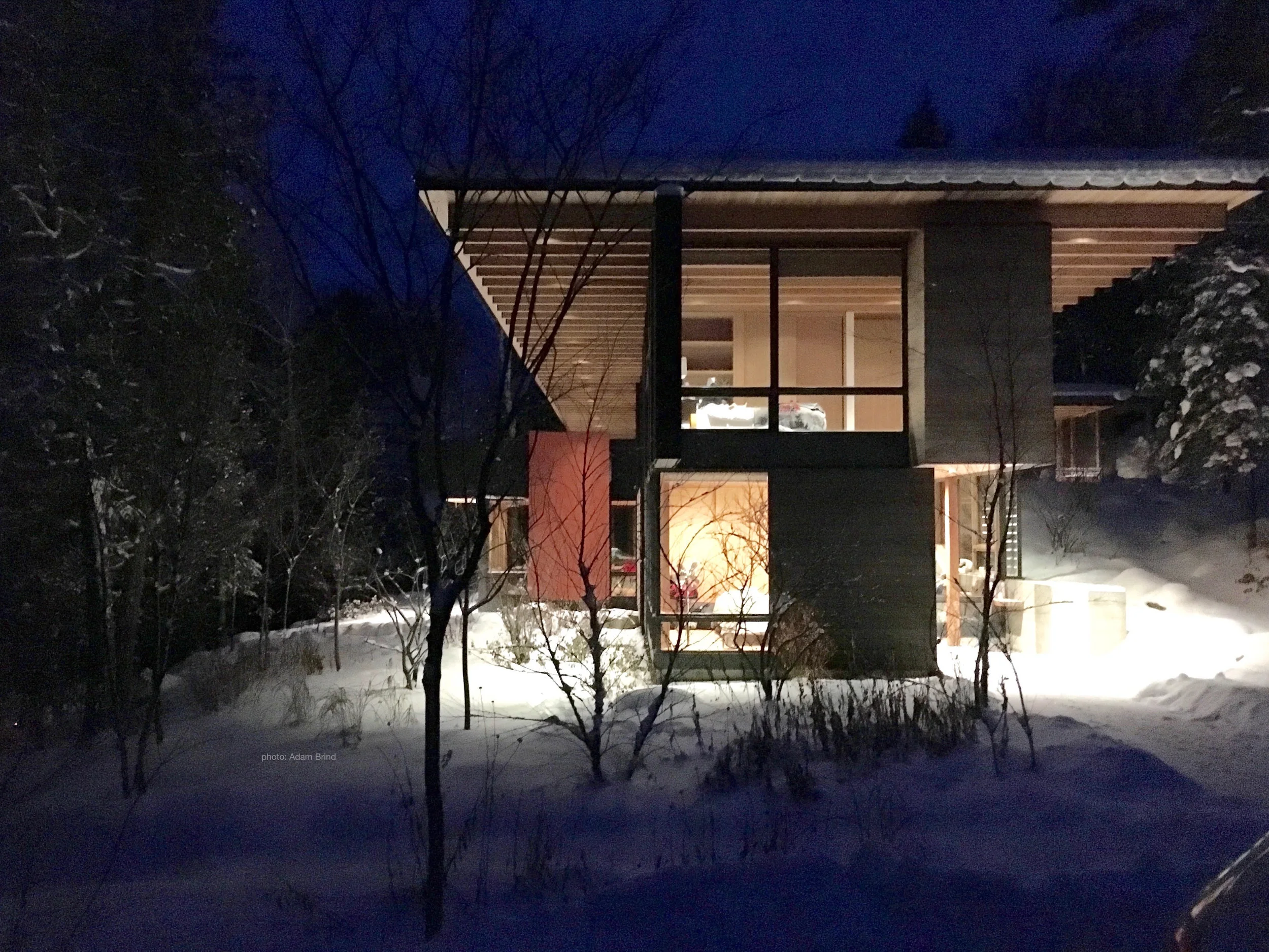 The Bear Stand Glowing on a Winter's Eve