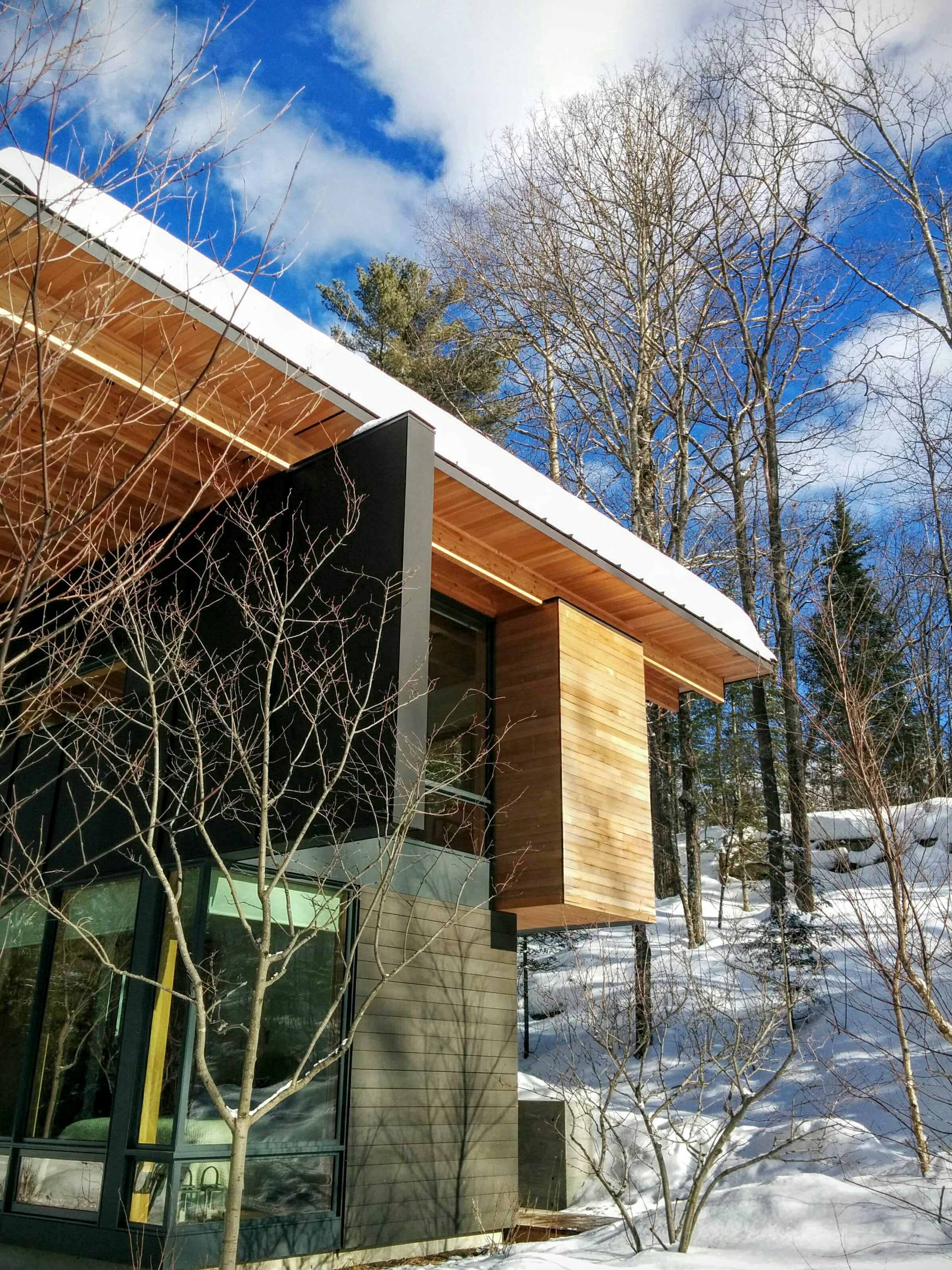 A Modernist Facade Sits Gently Against a Natural Forest Backdrop