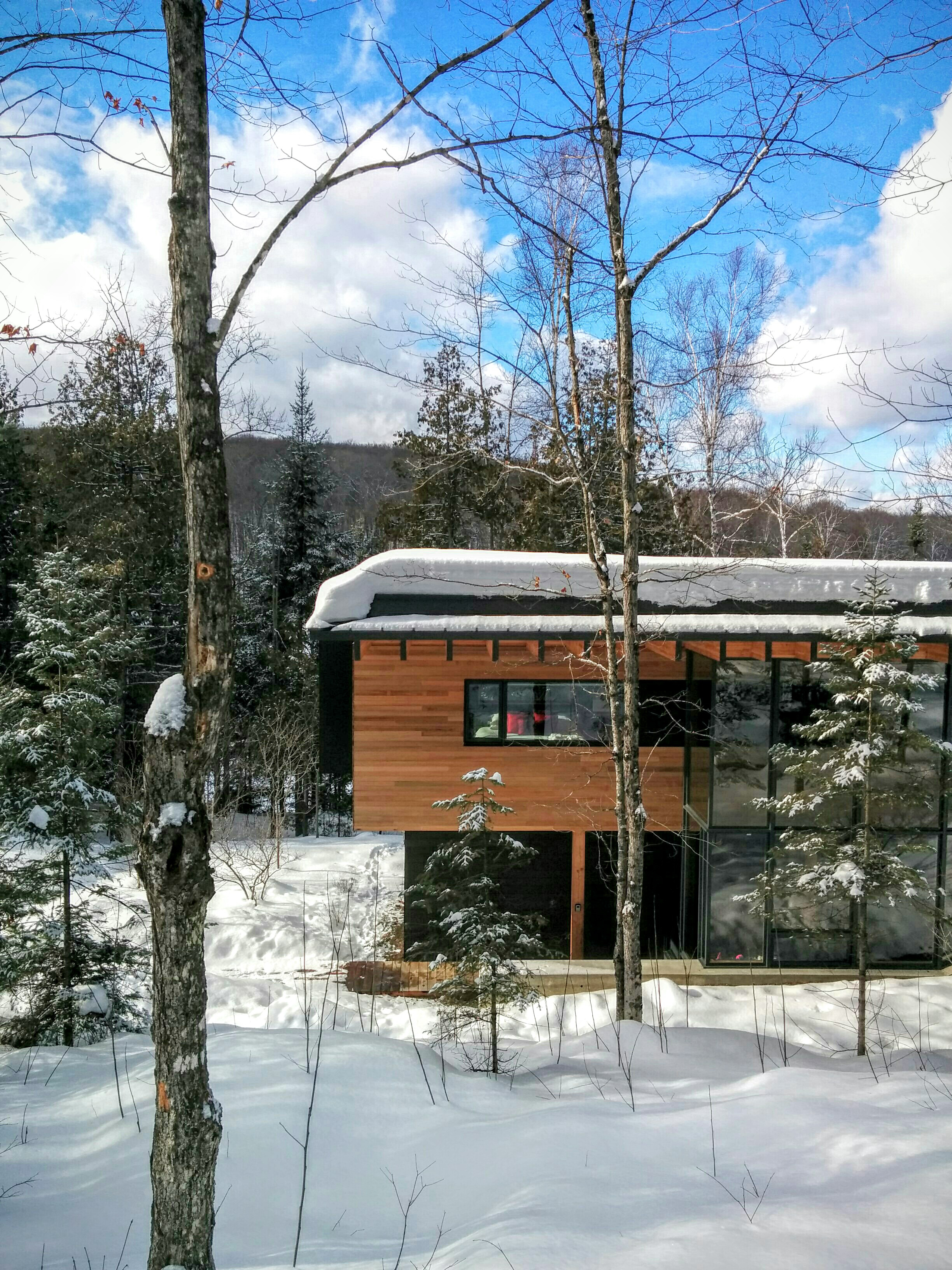 Main Entry at The Bear Stand on a Snowy Winter's Day