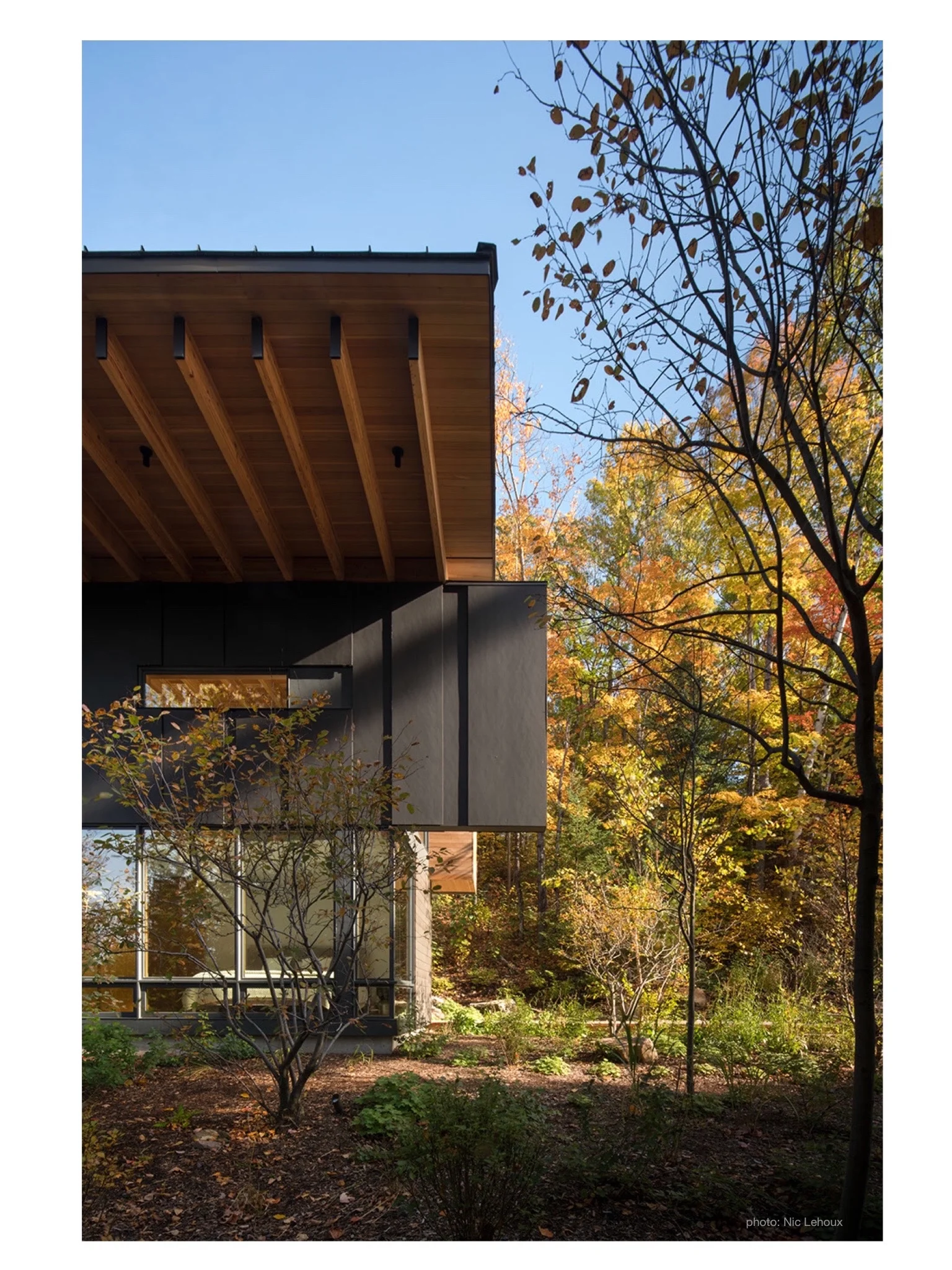 Long Autumn Shadows Cross this Modern Structure at The Bear Stand