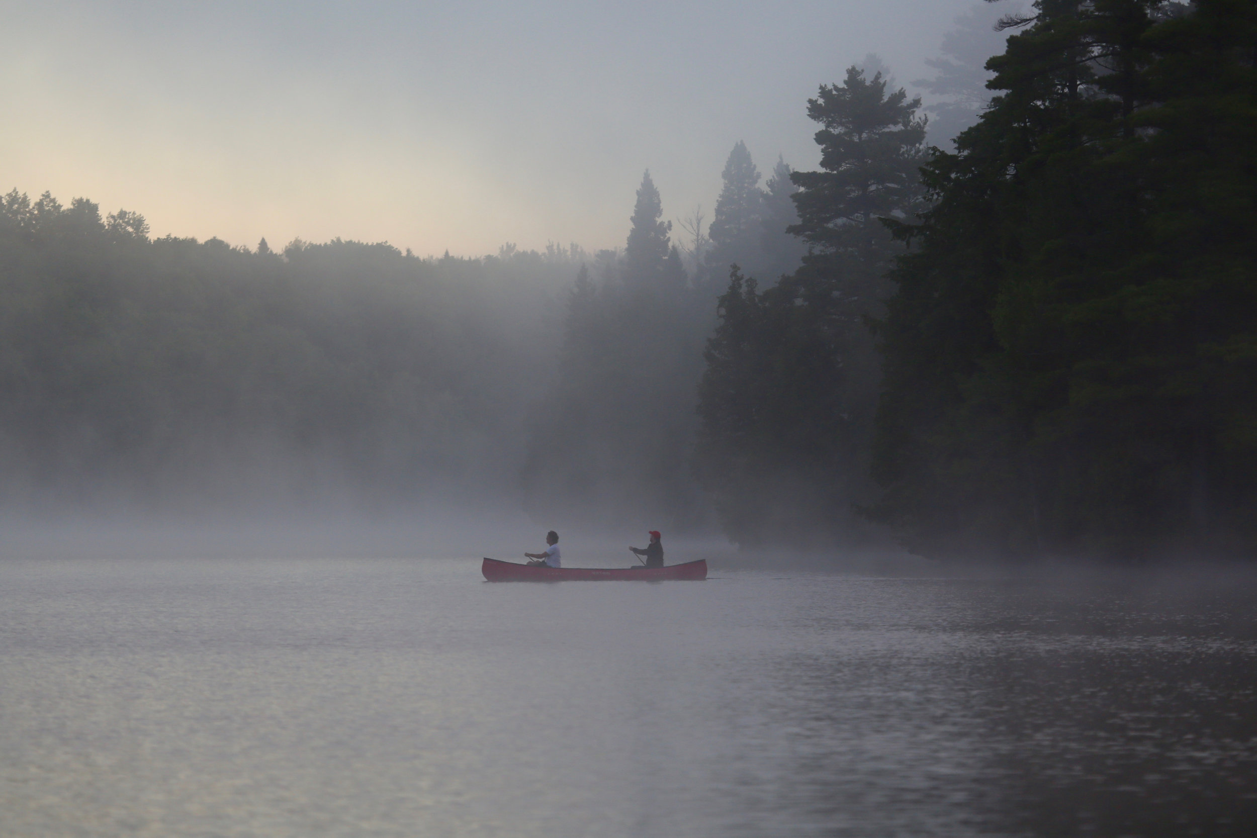 Misty Morning Paddle Across Contau