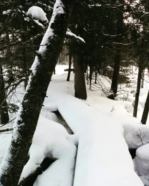 Winter Trailblazing