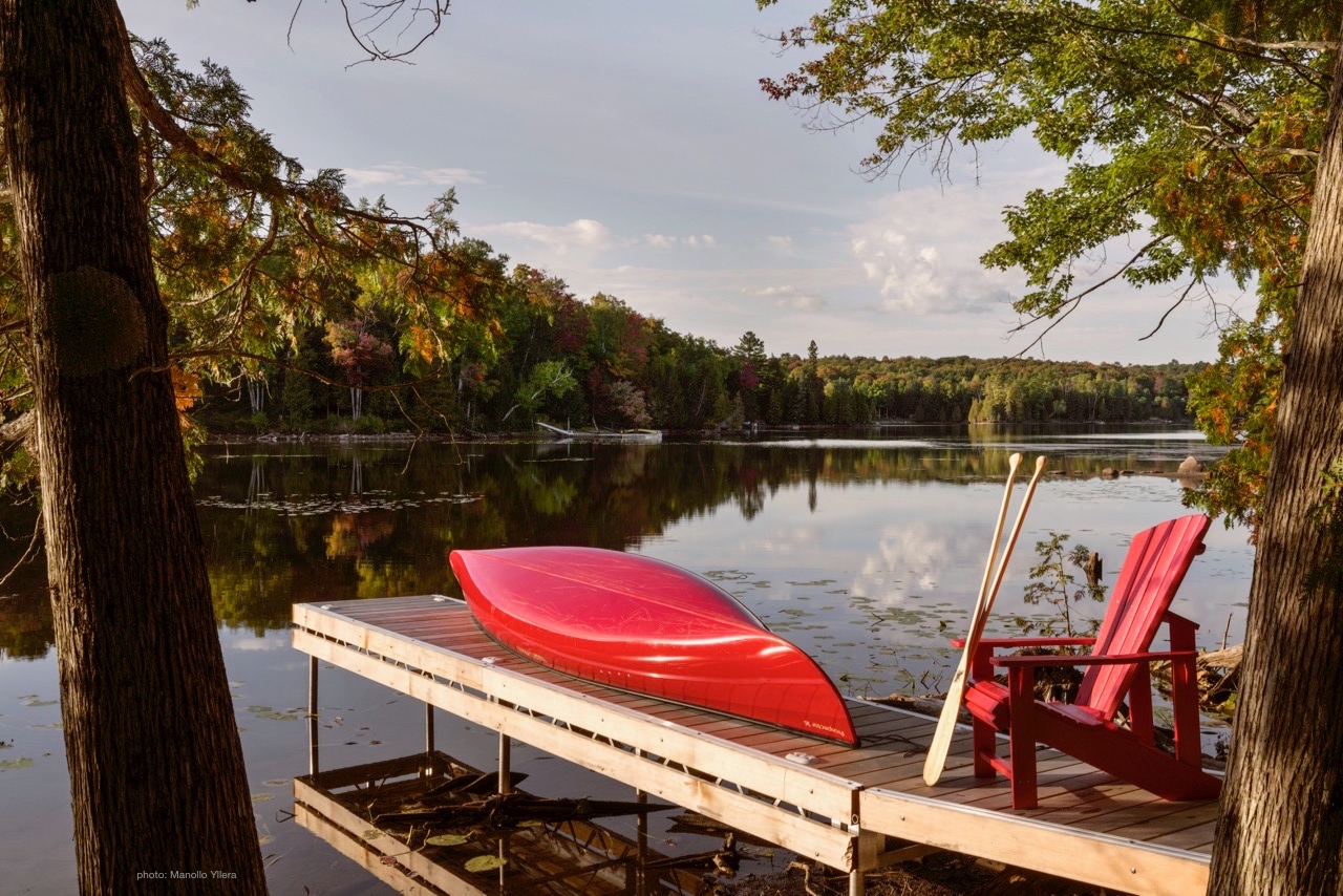 The Bear Stand - A Paddler's Paradise