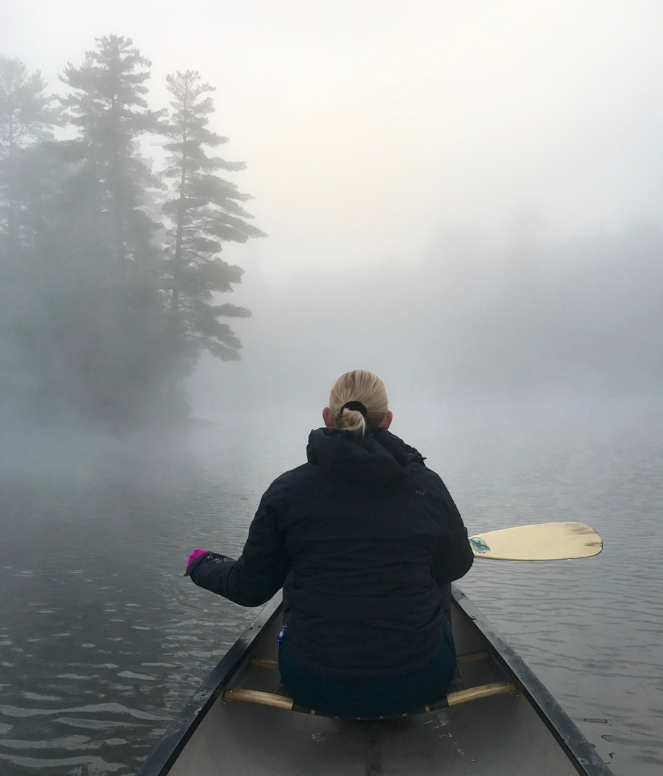 Negotiating the Mist