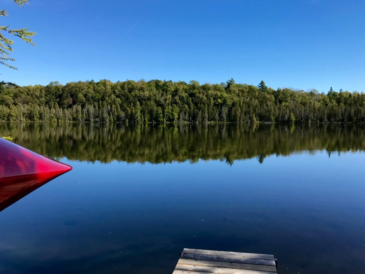 Mud Lake on a Perfect Day