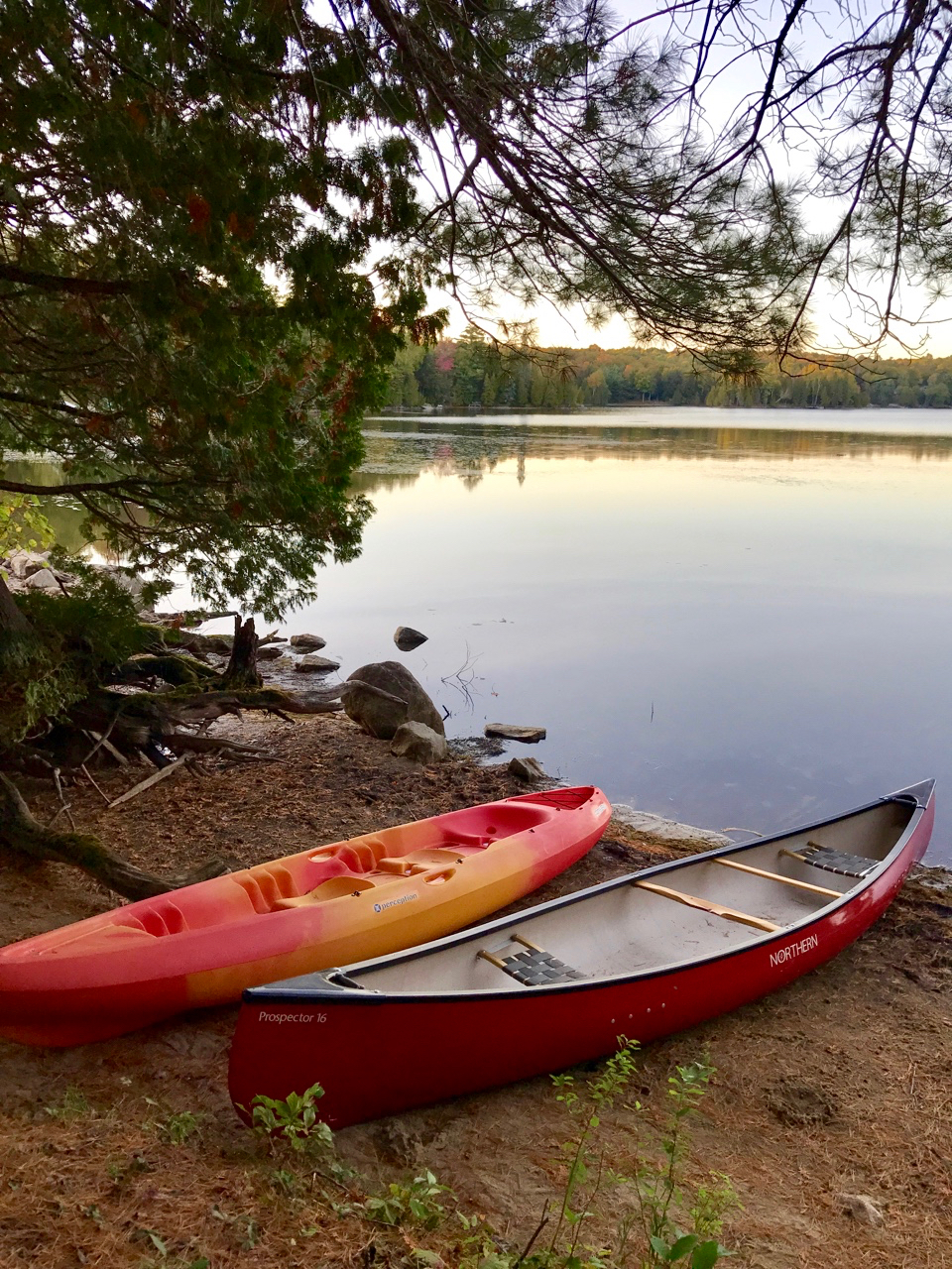 Just a Few of the Paddling Options at The Bear Stand