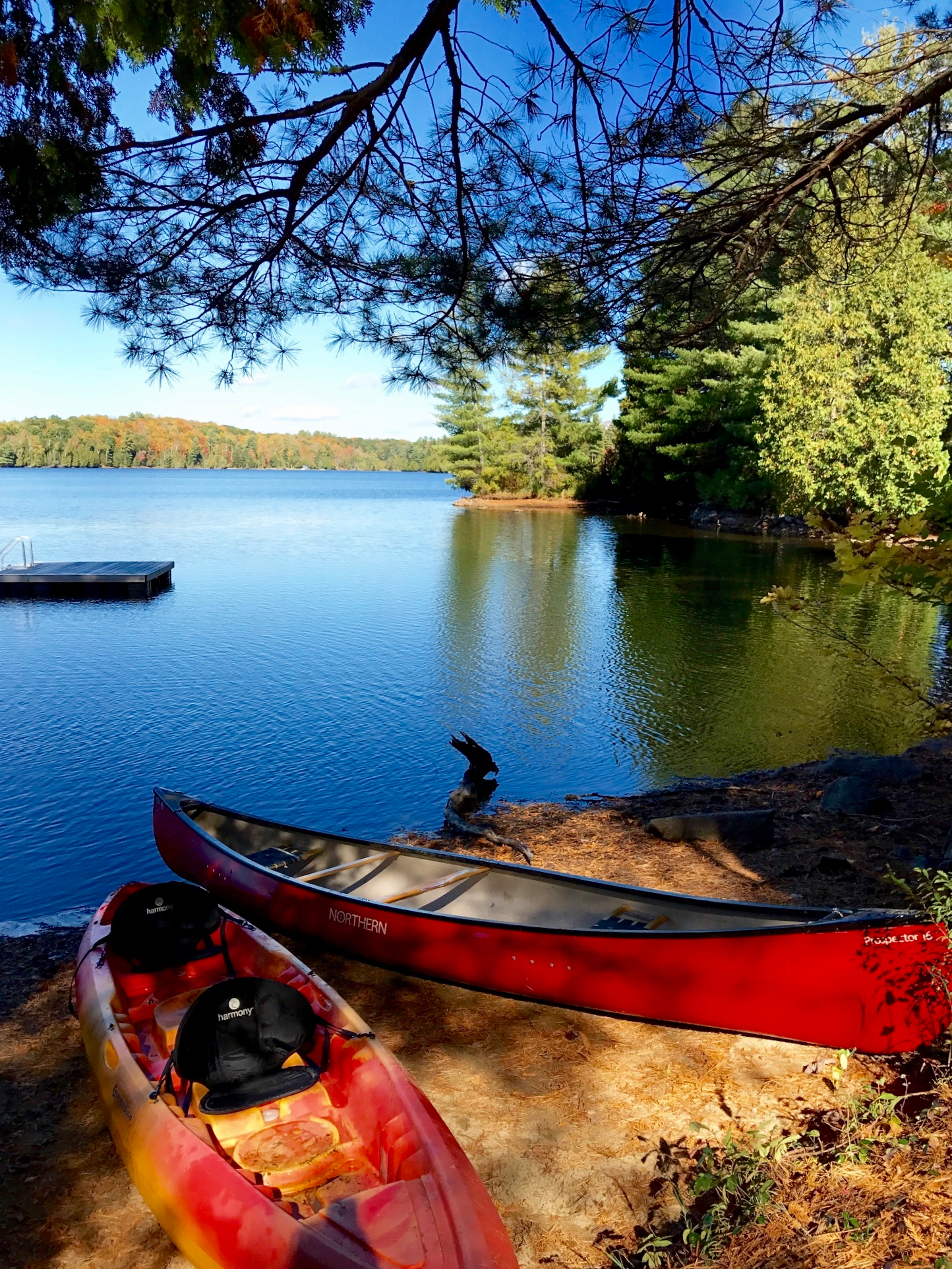 Our Sandy Beach, Point and Swim Raft at The Bear Stand