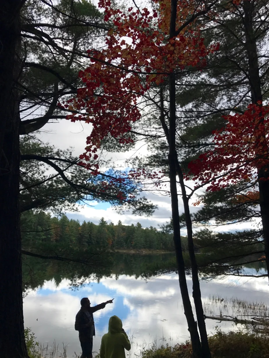 The Sojourn to Maple Lake