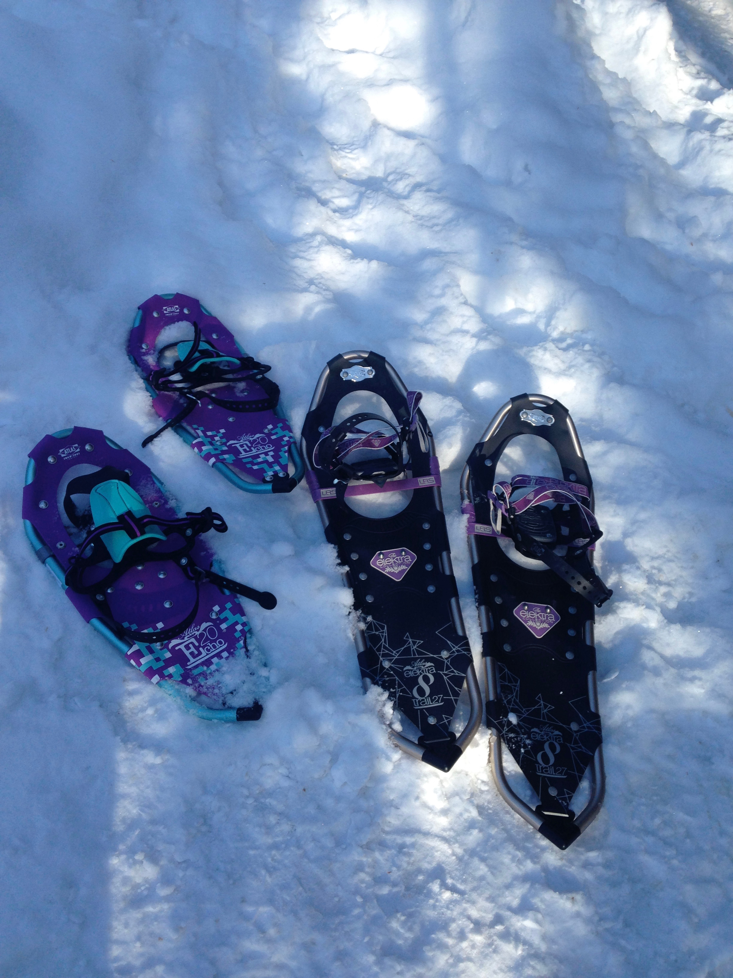 Snowshoeing the Extensive Winter Trail Network at The Bear Stand