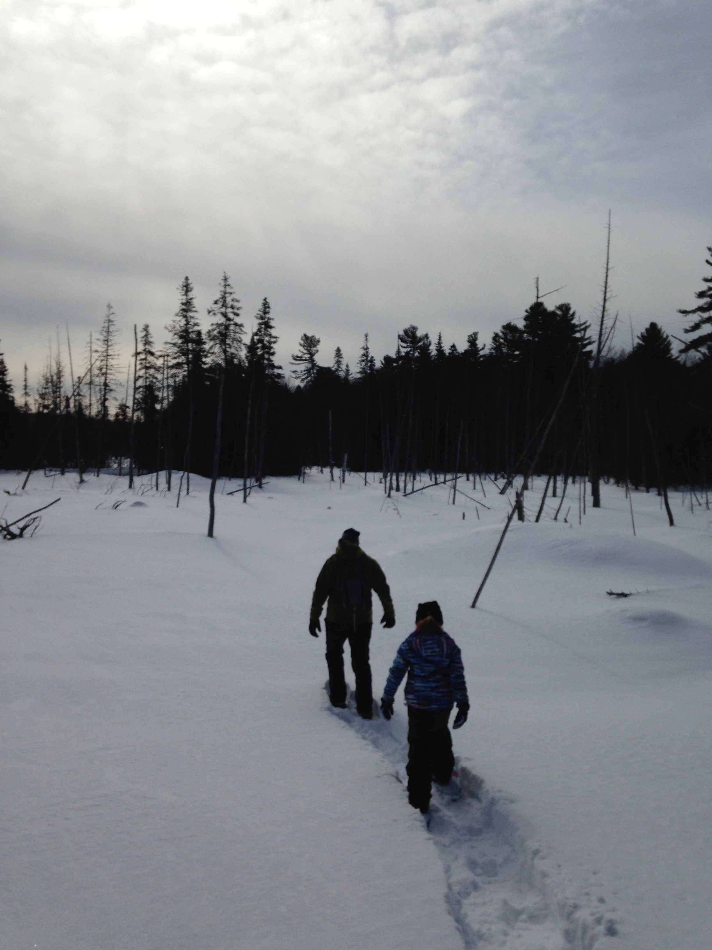 Snowshoeing Through a Winter Expanse