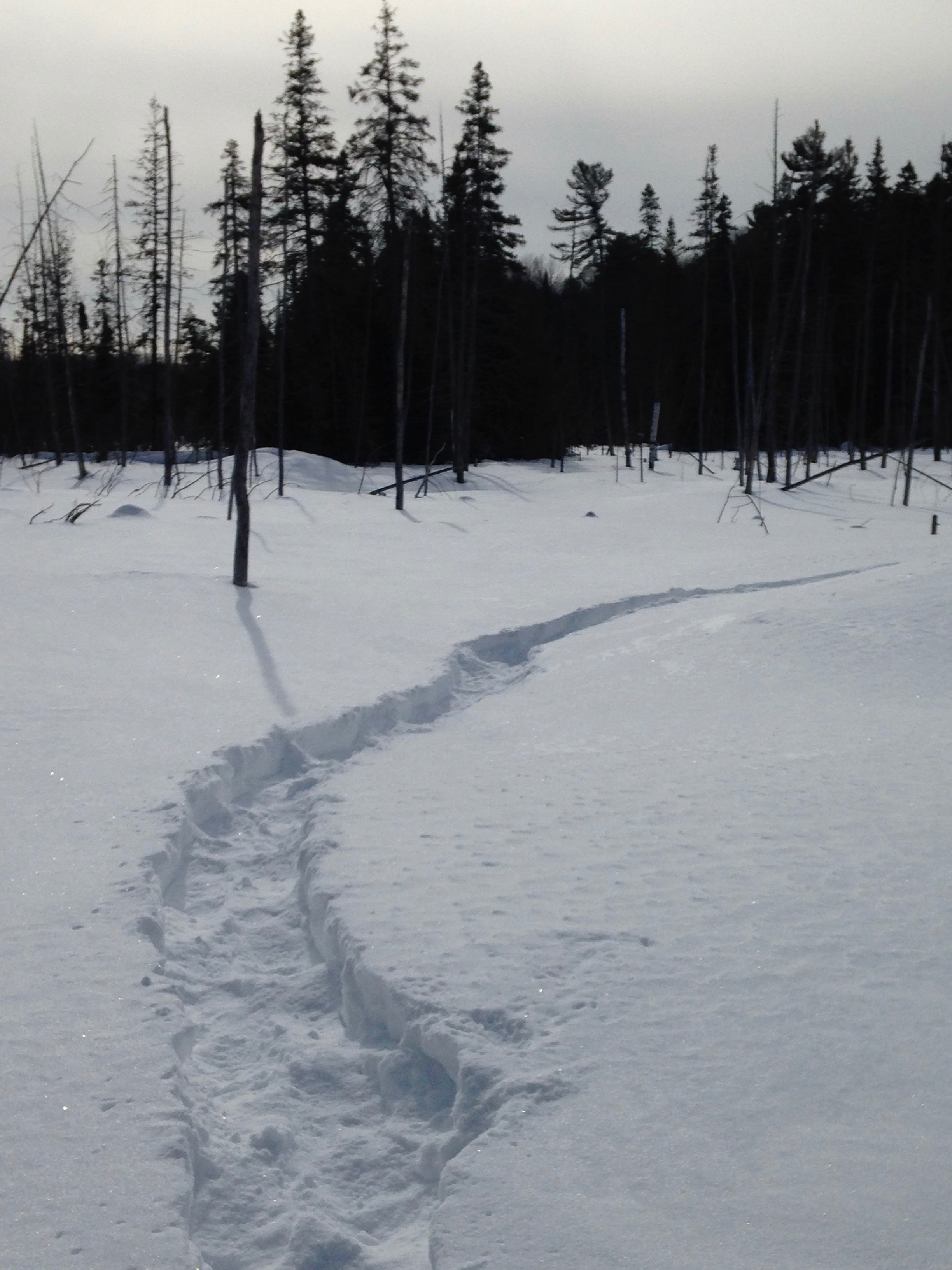 Make Tracks on Our Extensive Snowshoe Trail Network