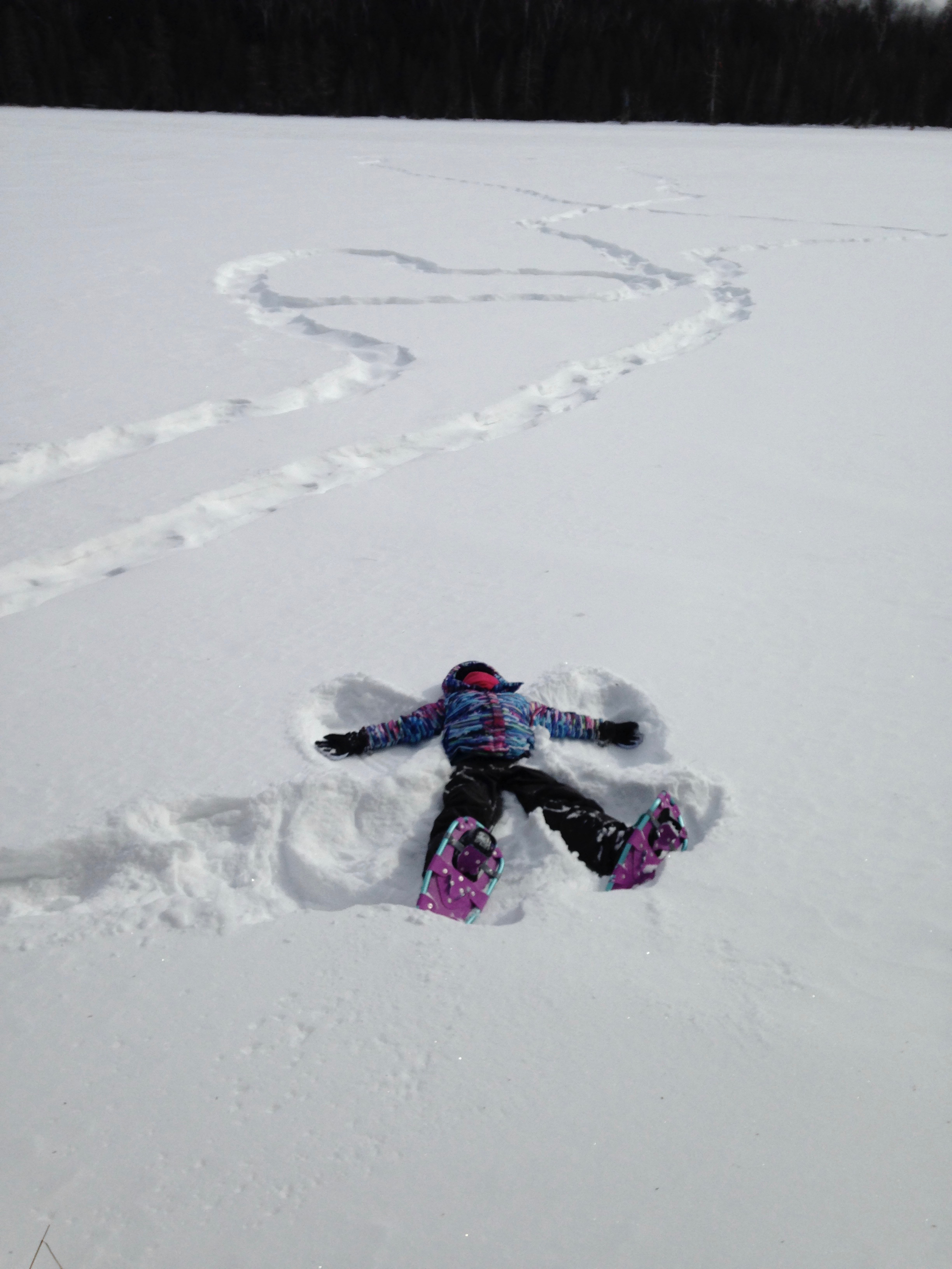 Enjoying Some Winter Down Time at The Bear Stand