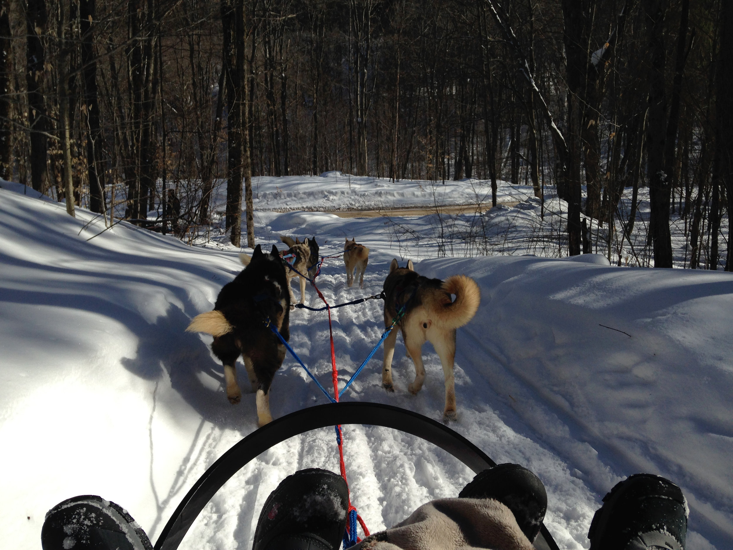 Winter Adventures at The Bear Stand