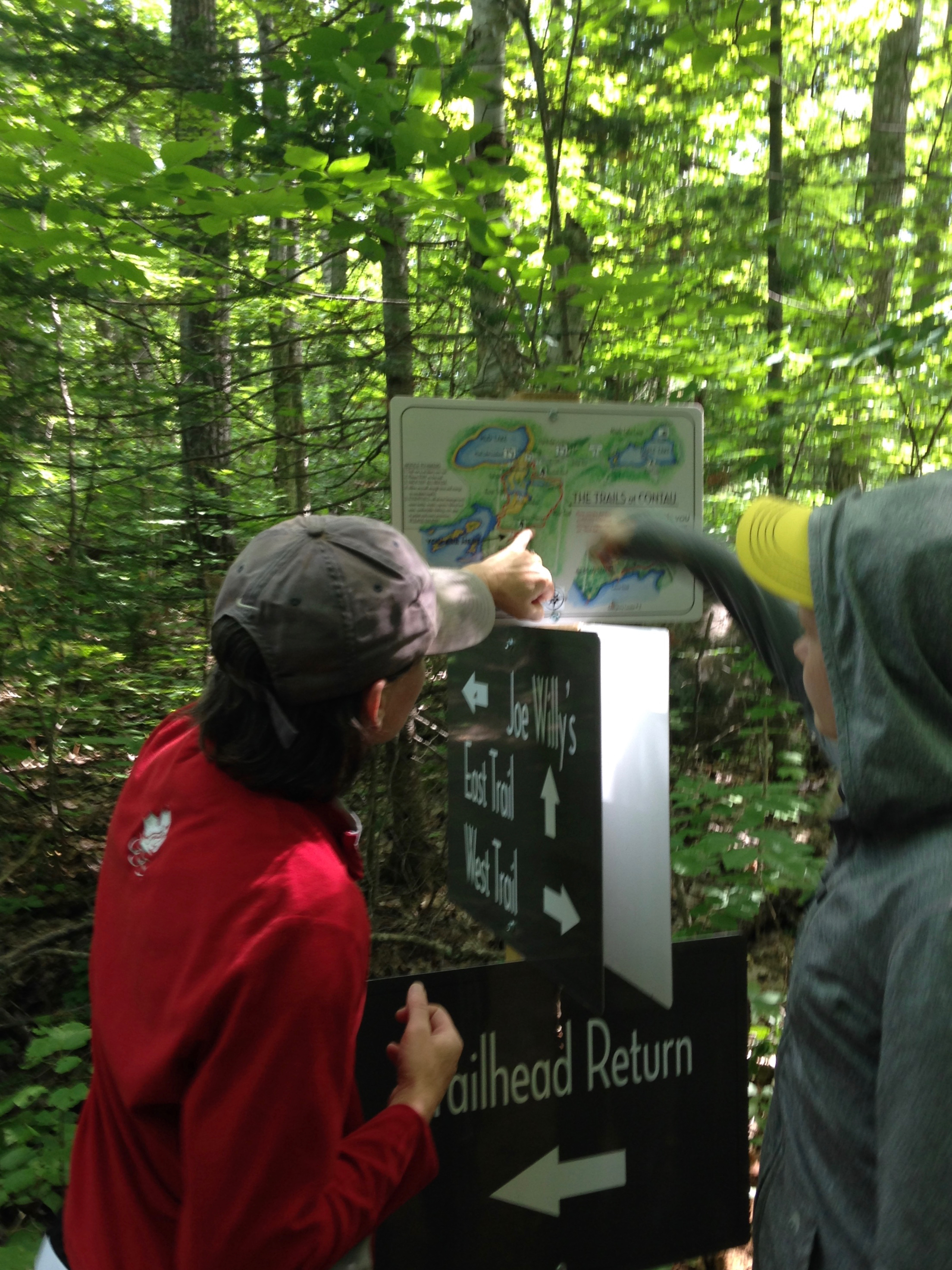 Navigating Our Extensive Trail Network at The Bear Stand