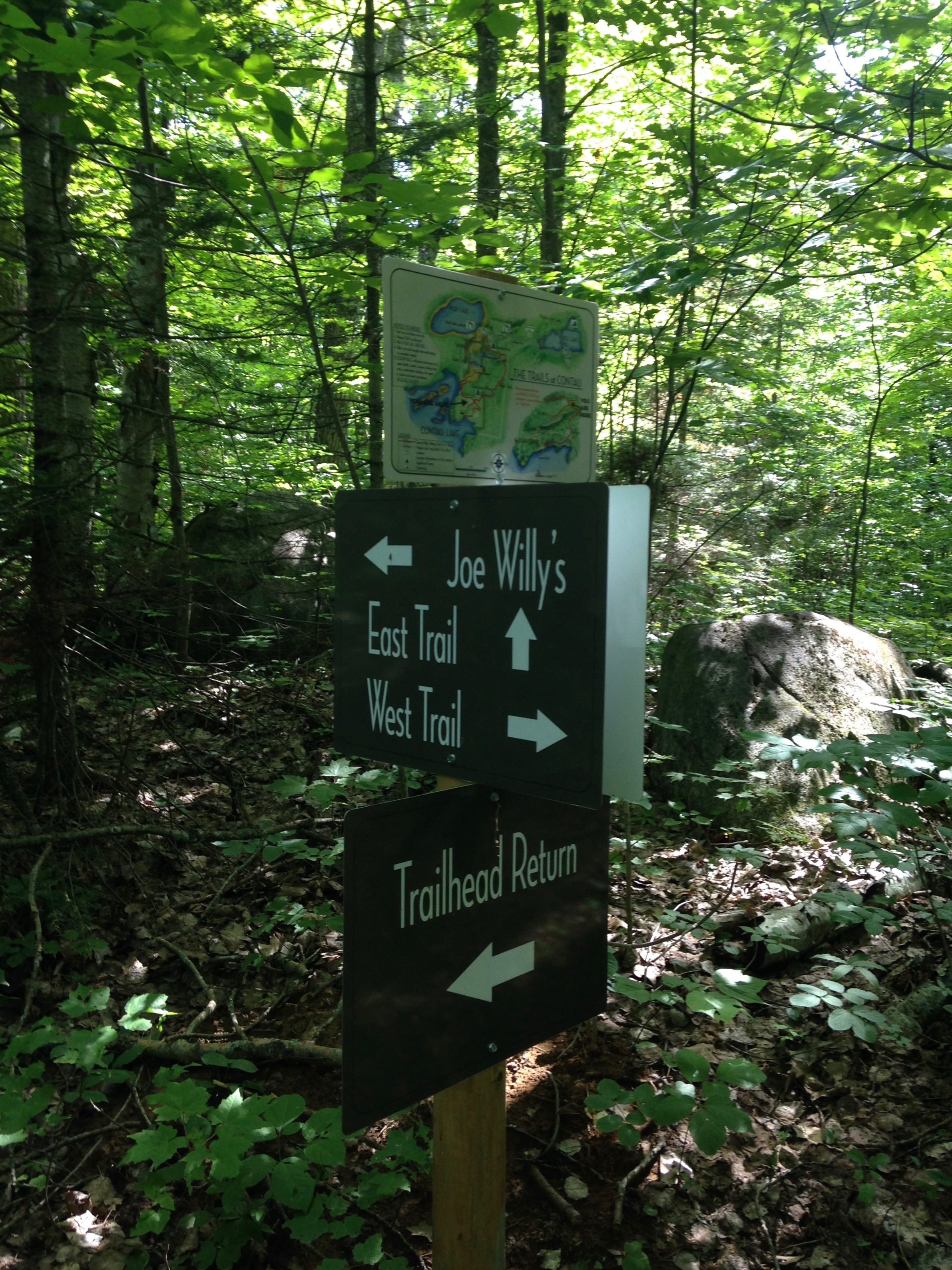 Endless Options for Hiking Enthusiasts at The Bear Stand