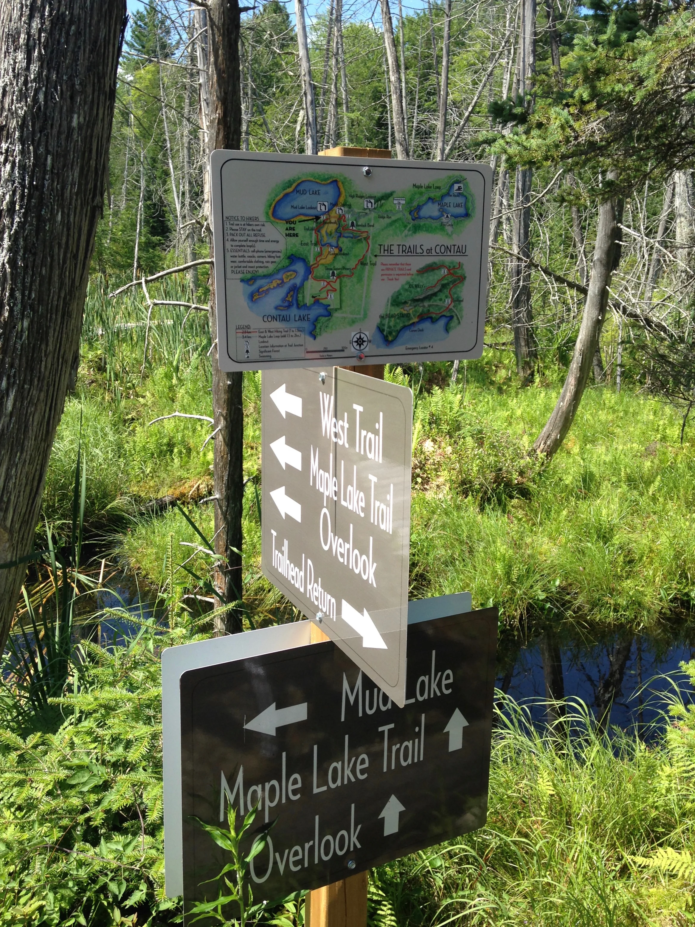 Navigate the Wonders of Our Extensive Trail Network