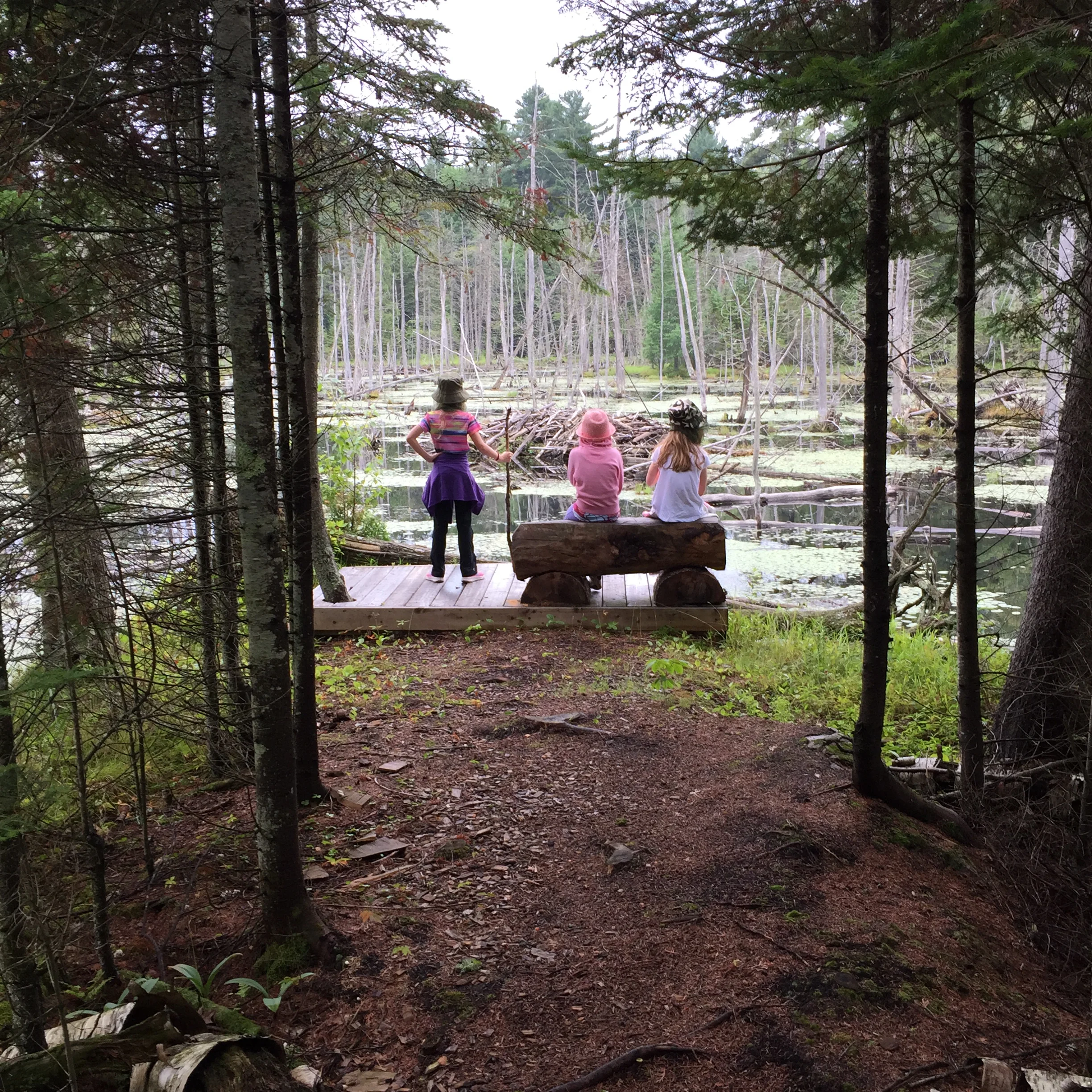 Break at the Lodge Lookout
