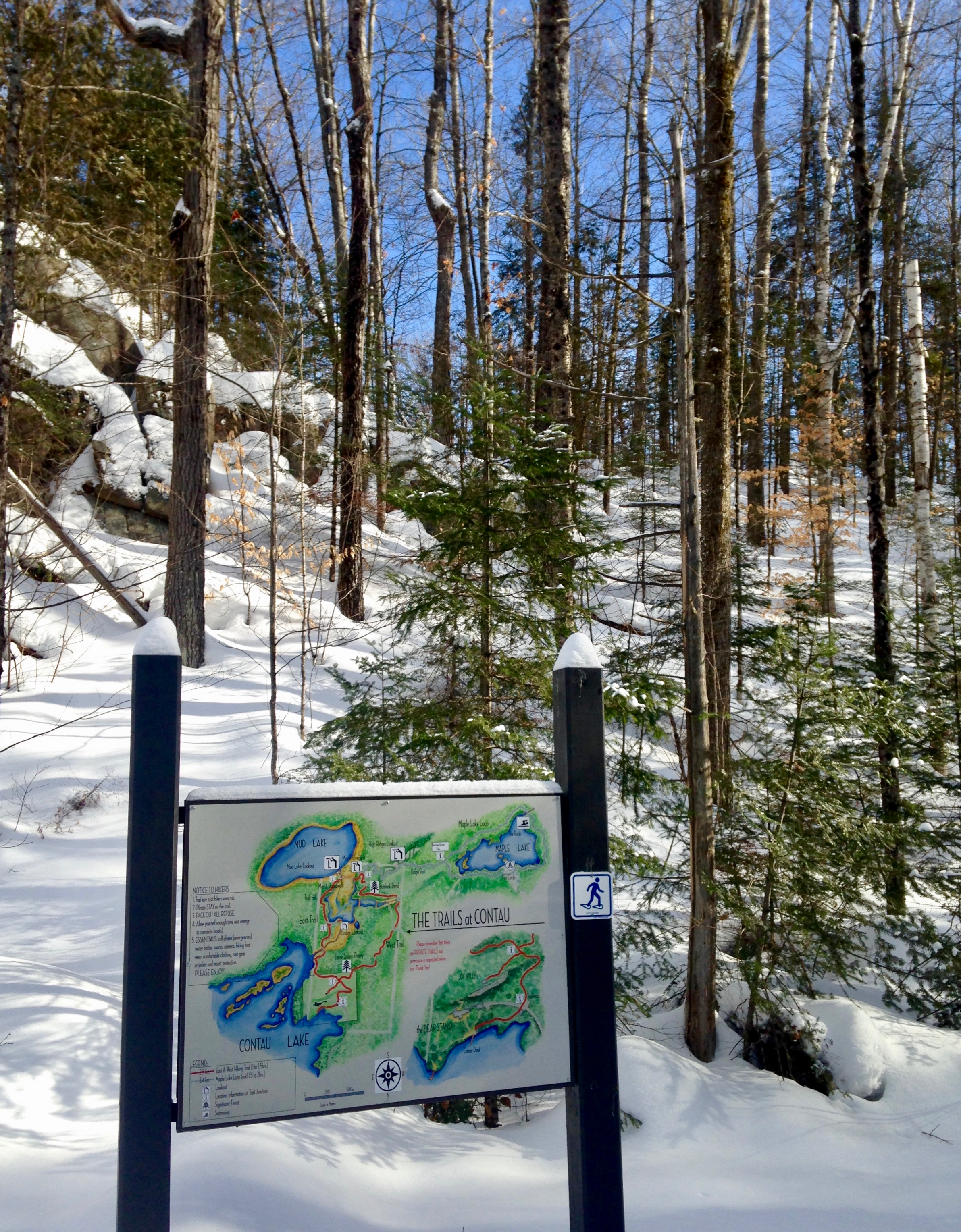Winter Trailhead at The Bear Stand