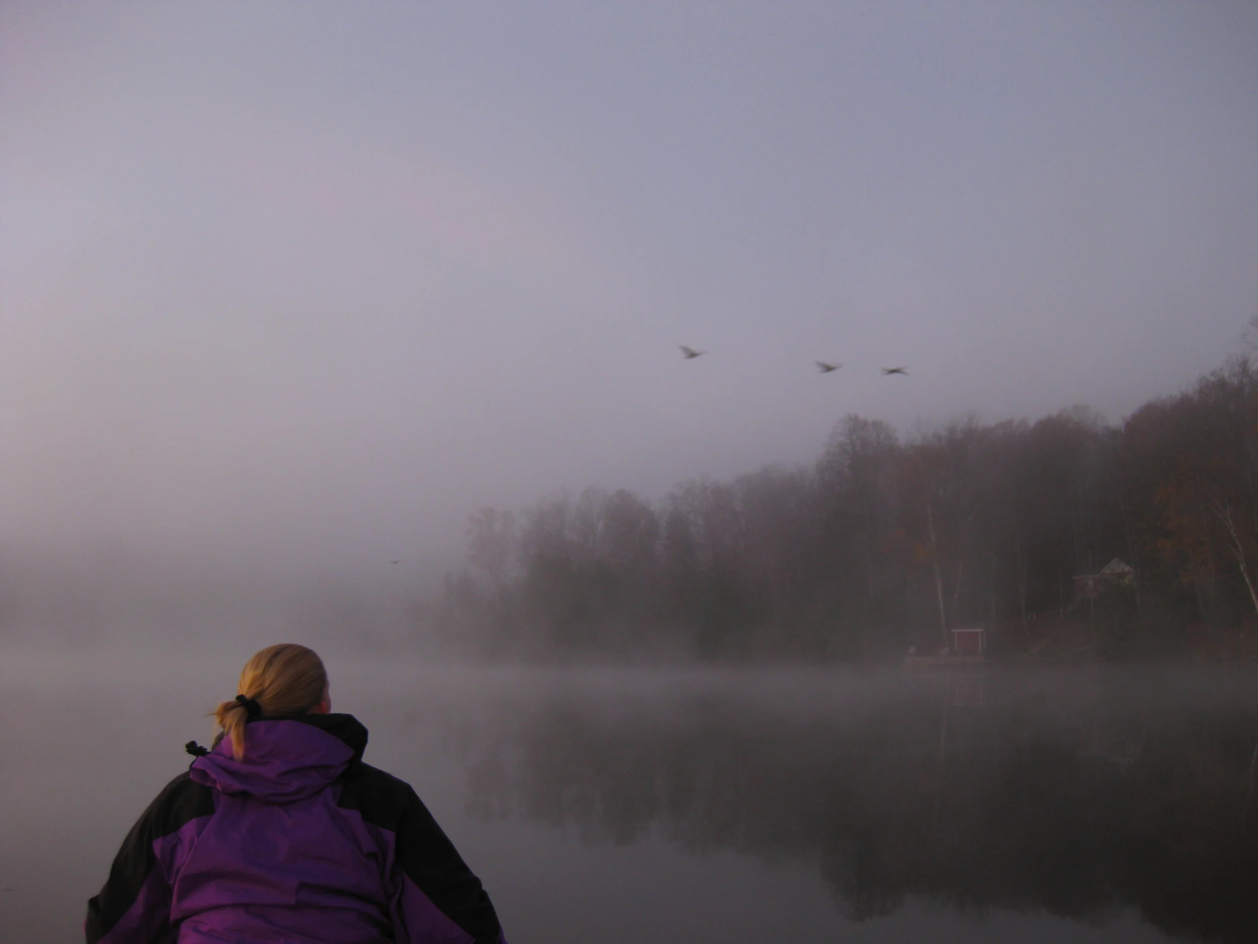 Embracing Solitude at The Bear Stand
