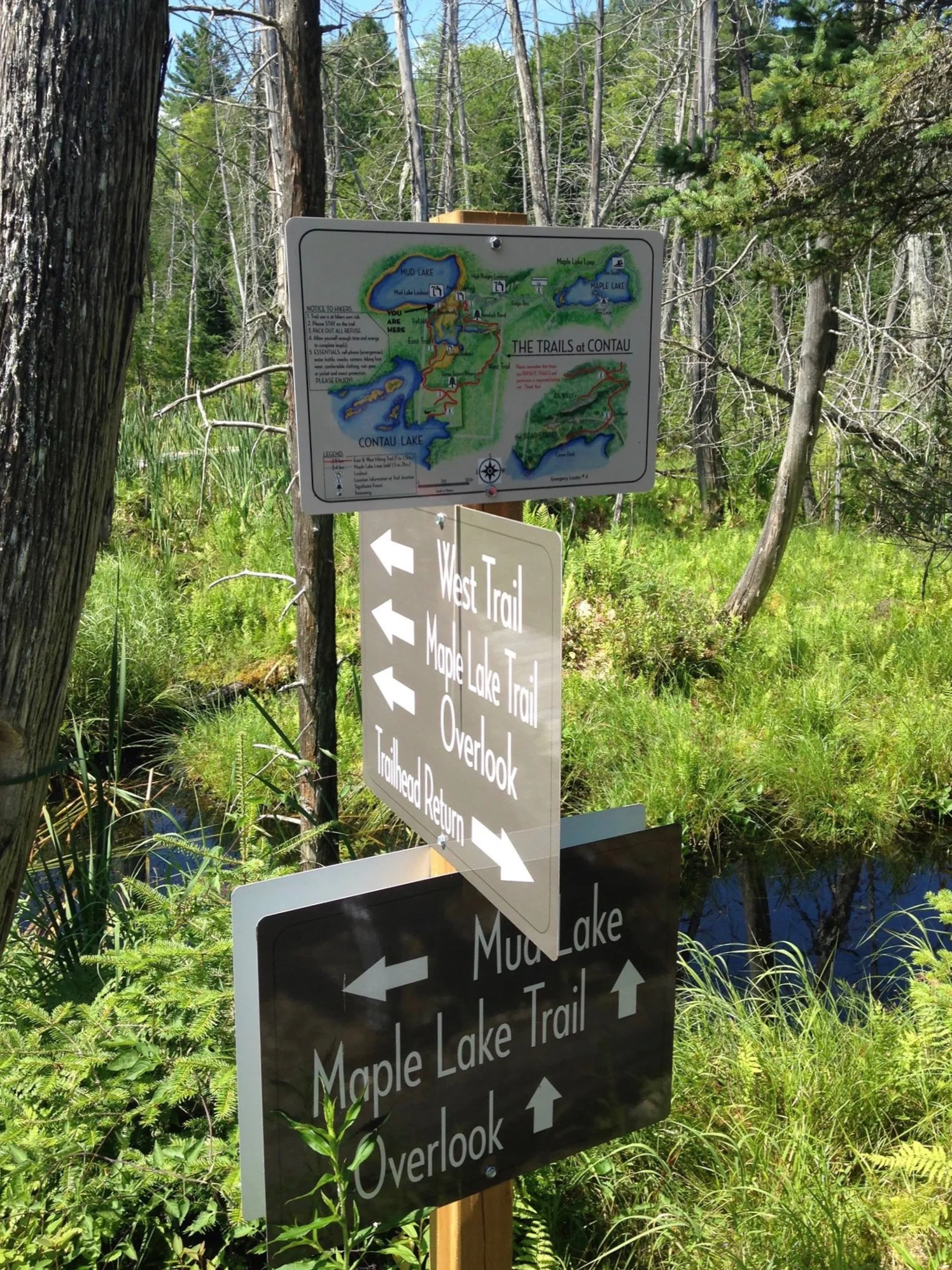 No Getting Lost