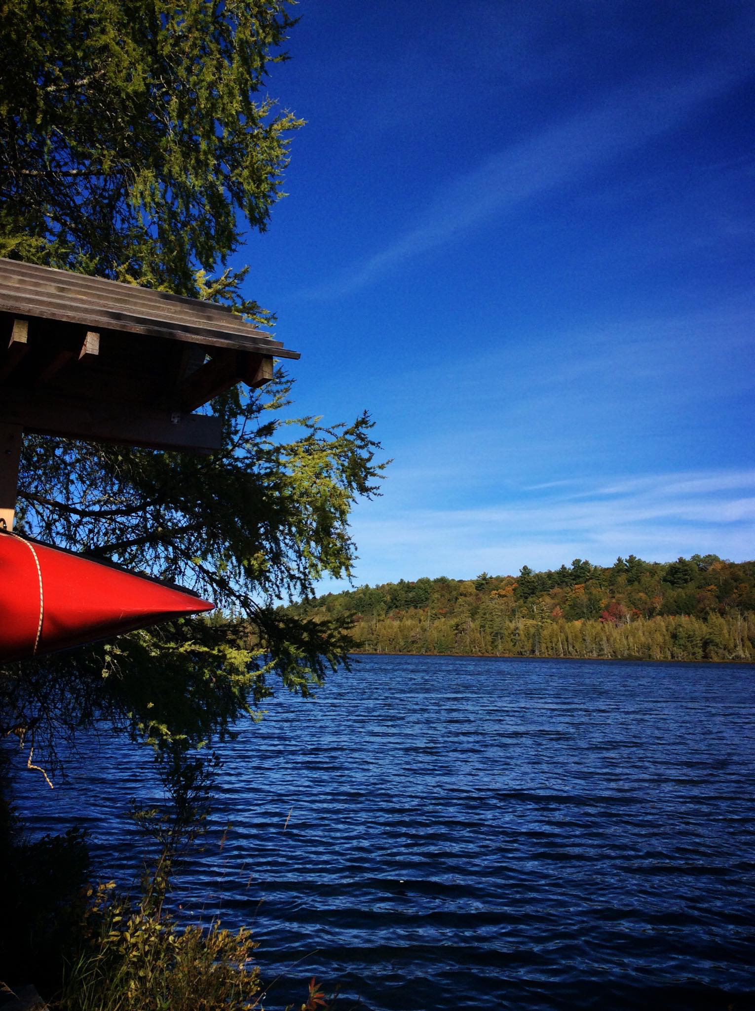 The Canoe at Mud Lake