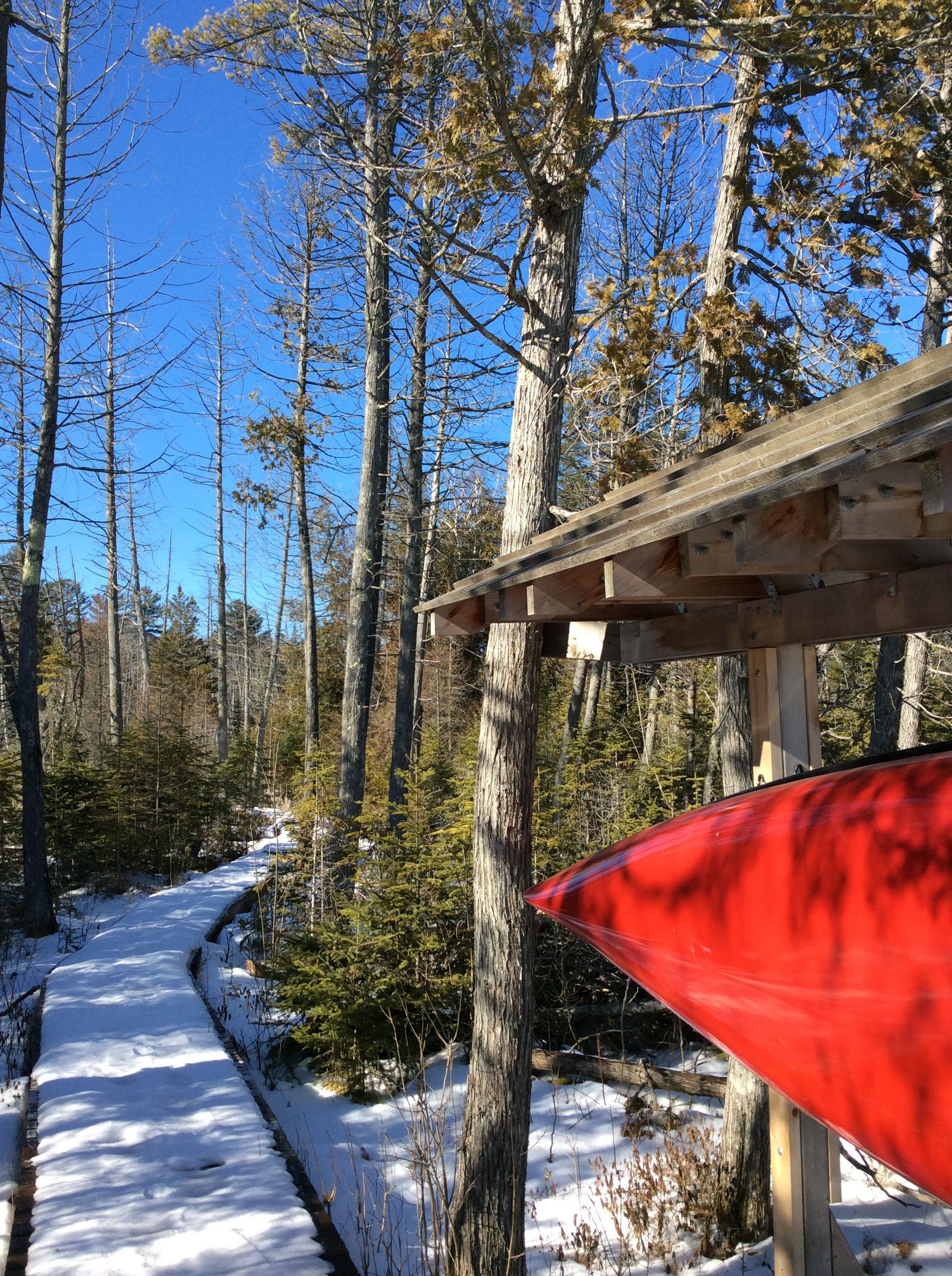 Go Off-Piste at The Bear Stand