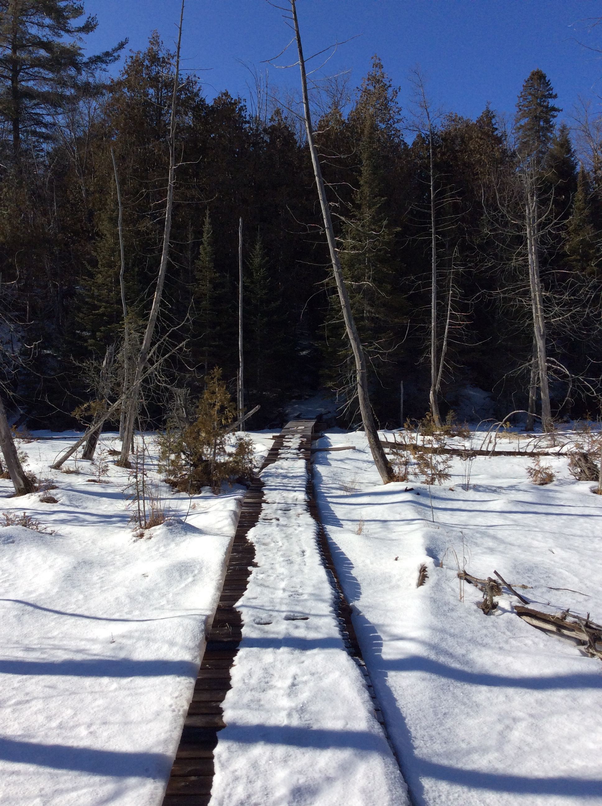 Snowshoeing the Marsh Boardwalk at The Bear Stand