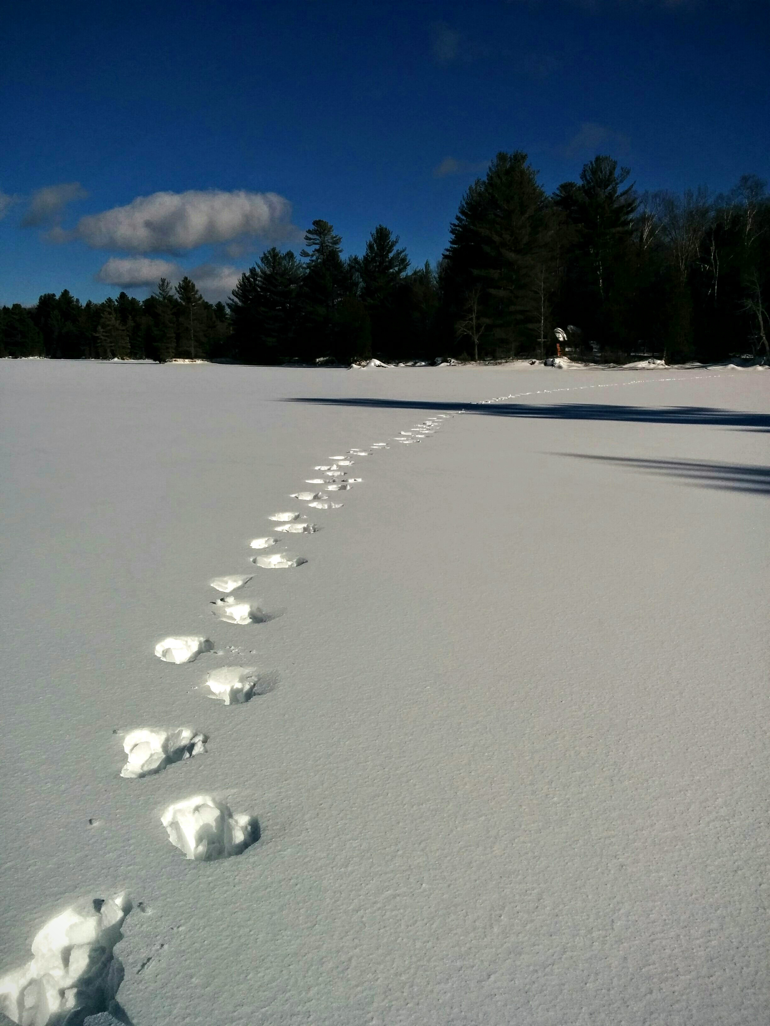 Trek Across a Frozen Lake