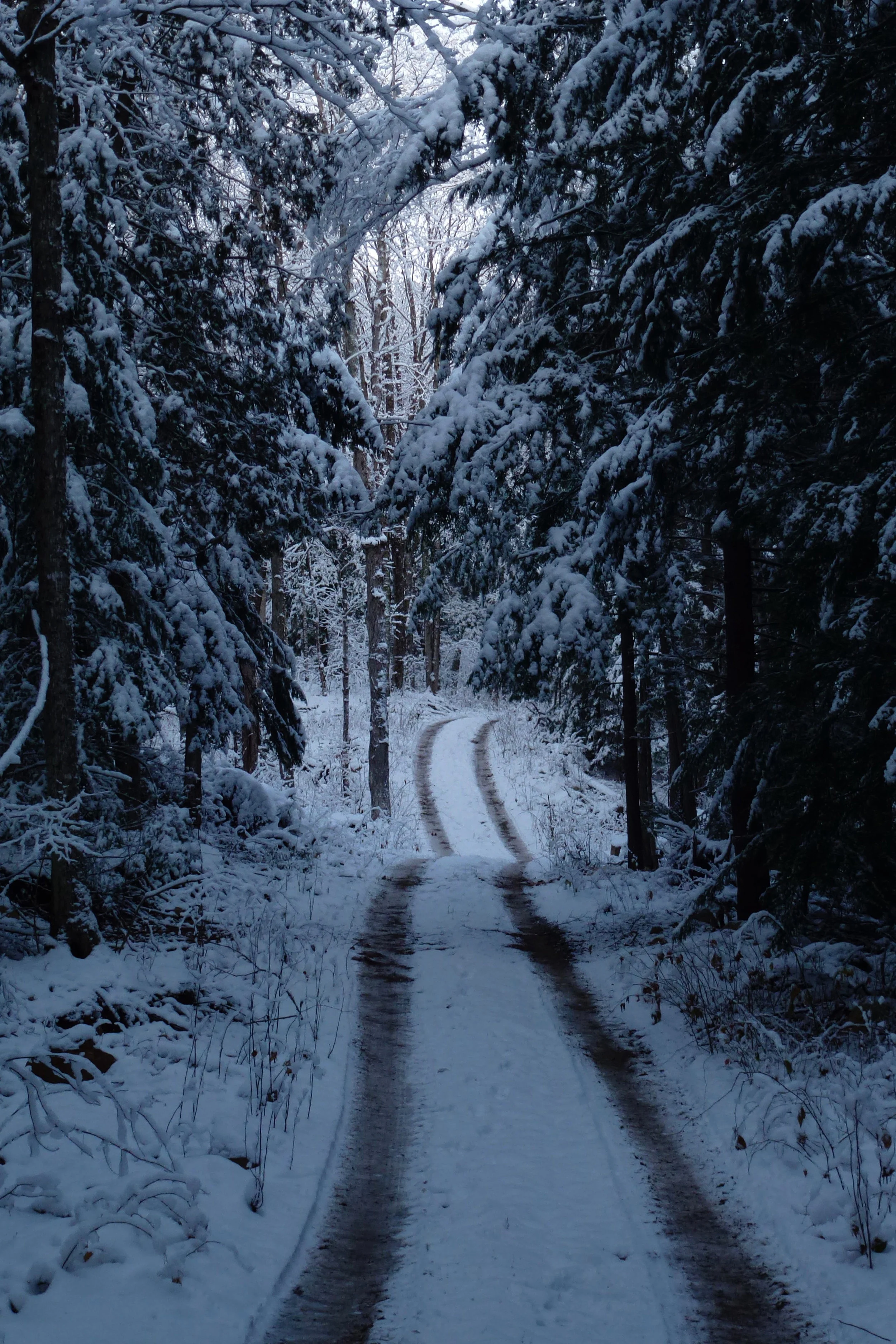 Winter Access at The Bear Stand