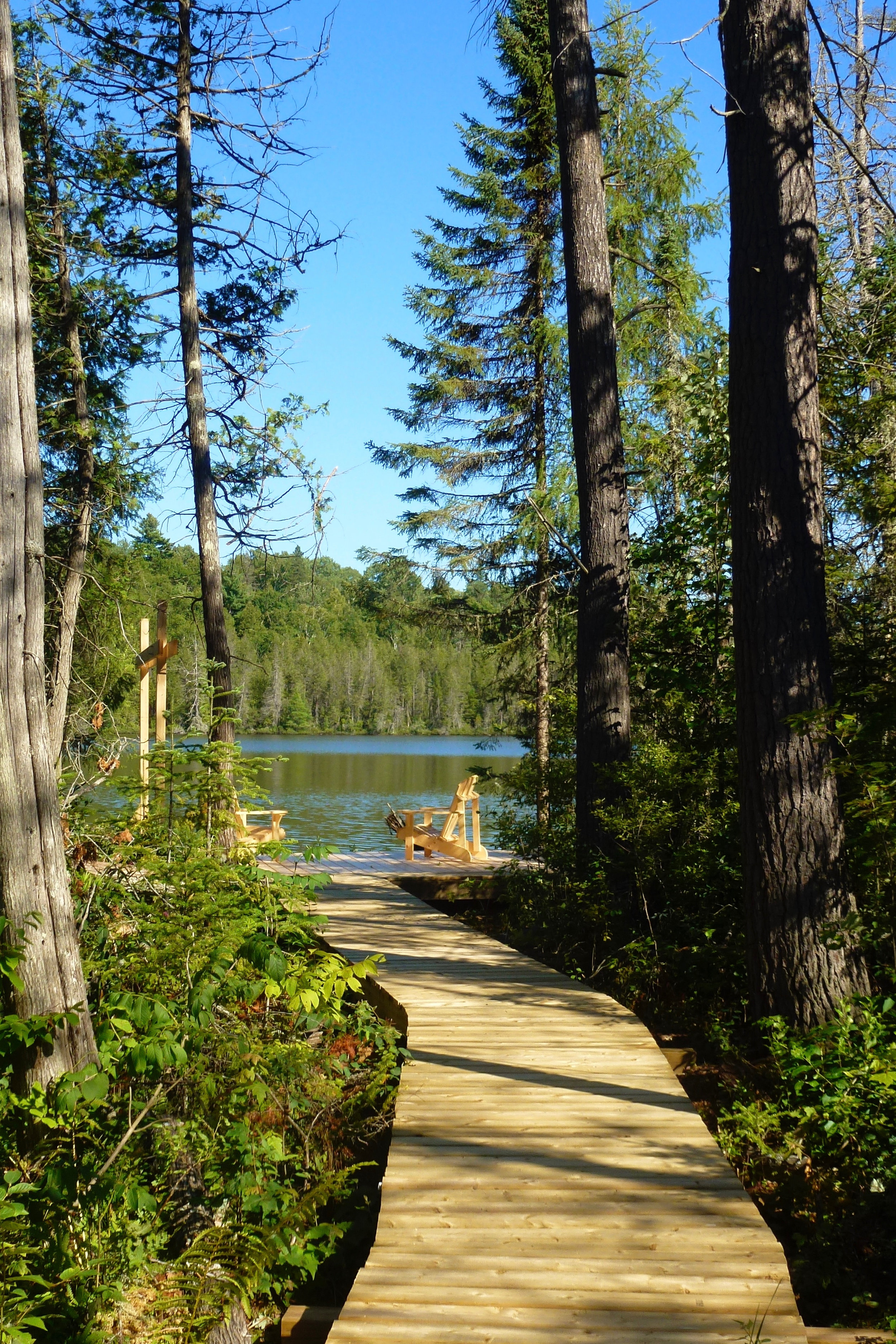 The Boardwalk to Mud Lake at The Bear Stand