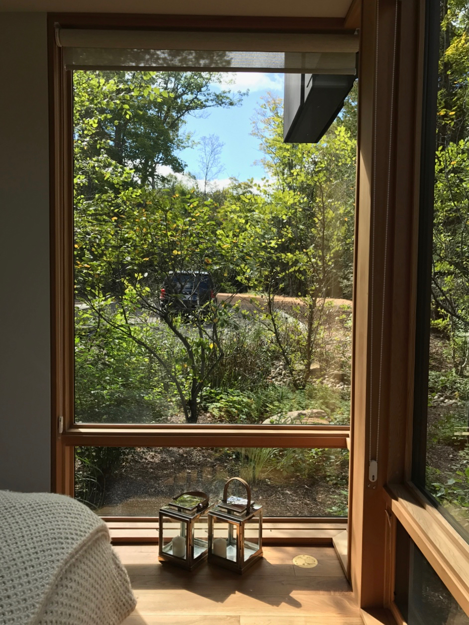 The Lower Guest Bedroom - Your Personal Forest Retreat